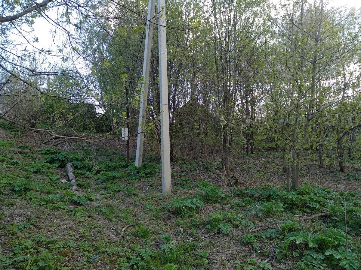 Земли поселения Московская область, городской округ Истра, село Онуфриево, улица Белова