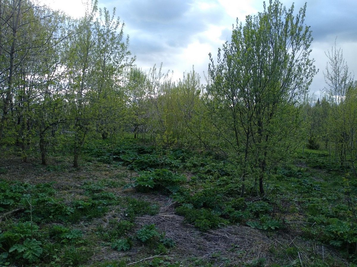 Земли поселения Московская область, городской округ Истра, село Онуфриево, улица Белова