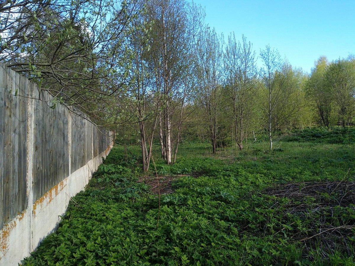 Земли поселения Московская область, городской округ Истра, село Онуфриево, улица Белова