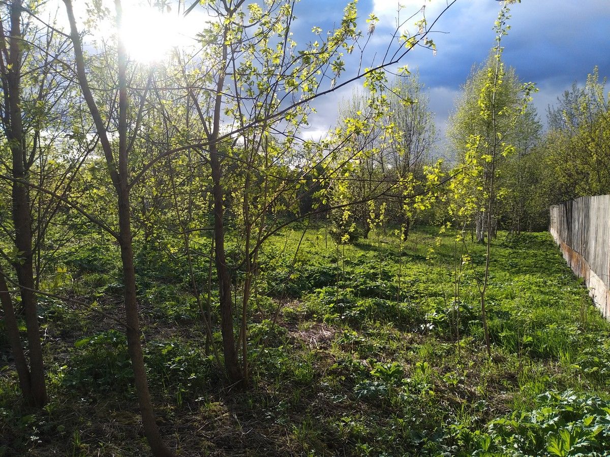 Земли поселения Московская область, городской округ Истра, село Онуфриево, улица Белова