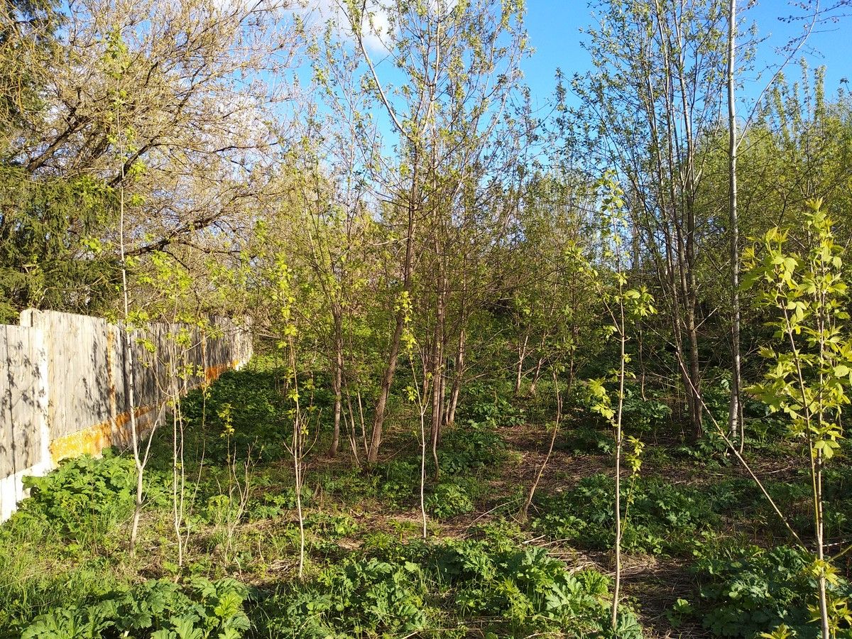 Земли поселения Московская область, городской округ Истра, село Онуфриево, улица Белова
