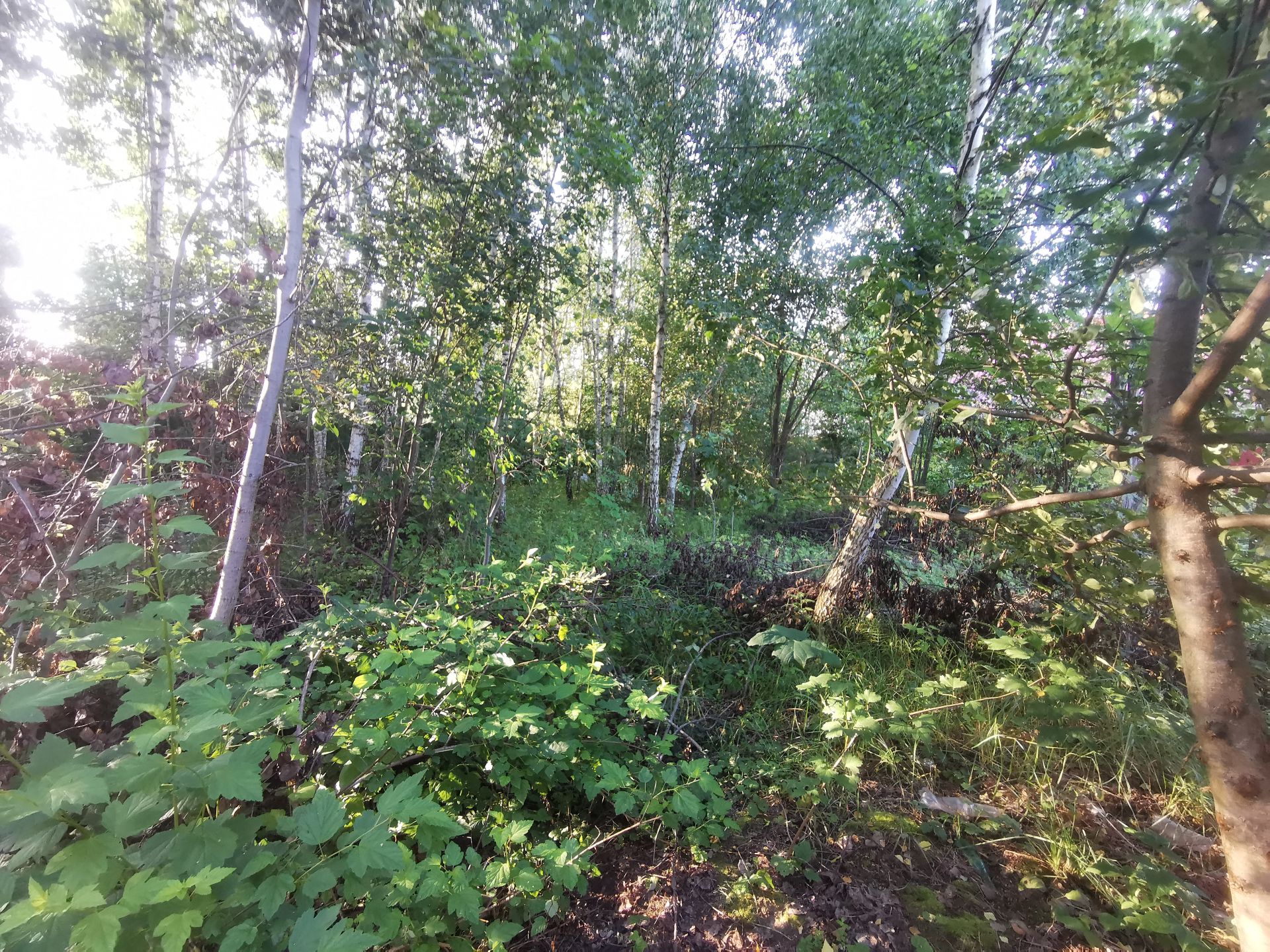 Земли поселения Московская область, Рузский городской округ, рабочий посёлок Тучково, 7-я Картинская улица