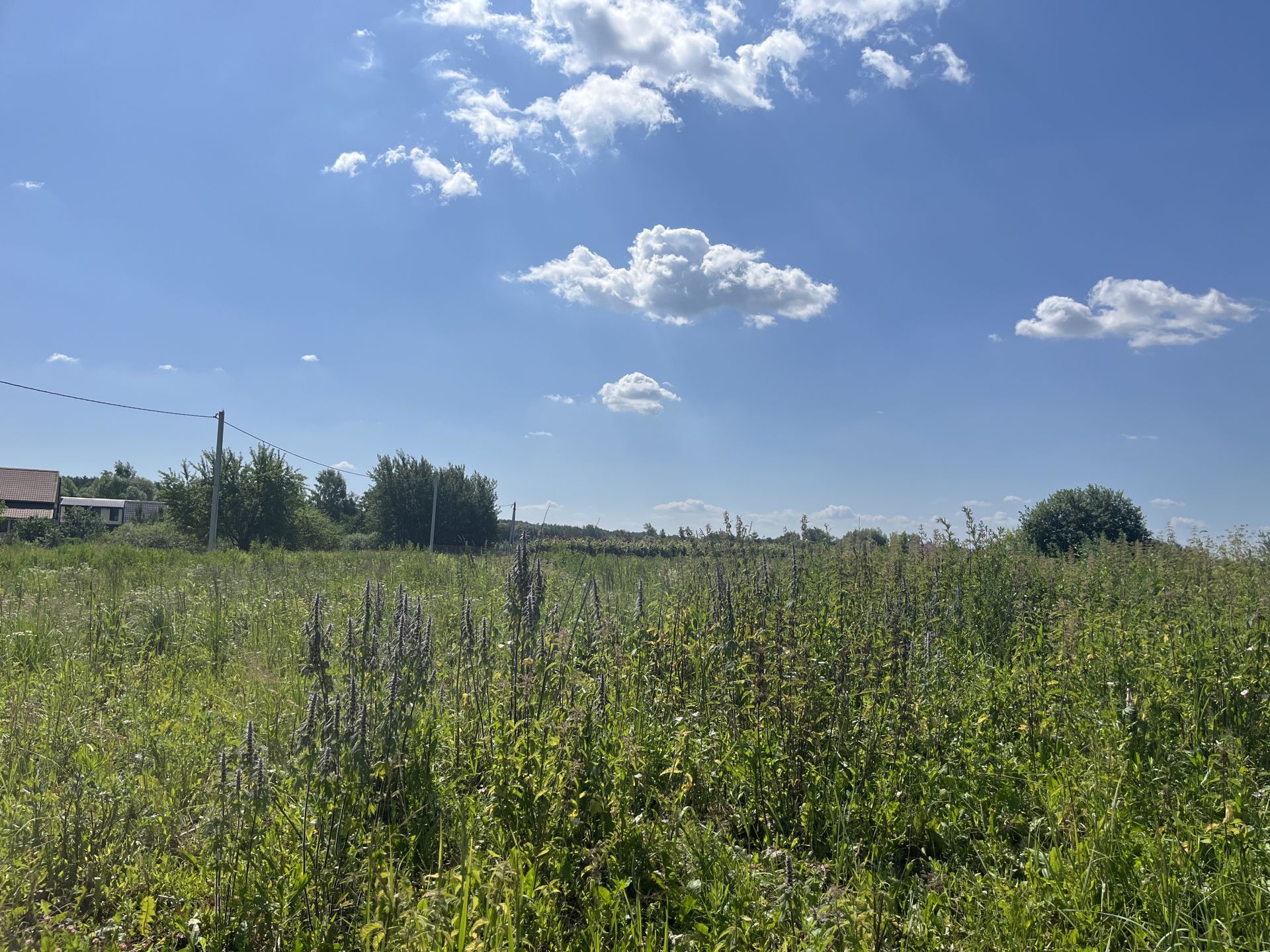 Земли поселения Московская область, Раменский городской округ, деревня Сафоново, 2-я Совхозная улица