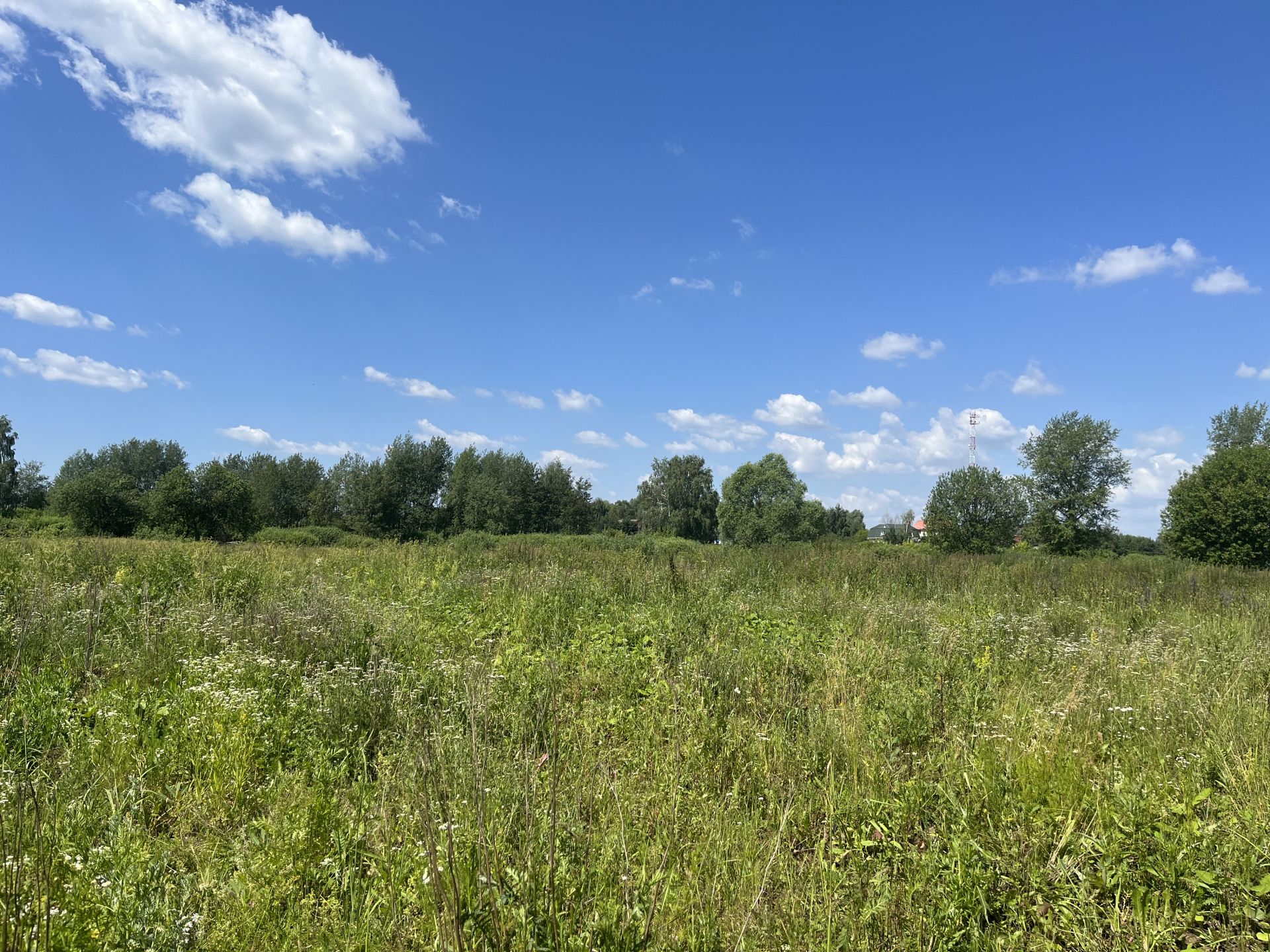 Земли поселения Московская область, Раменский городской округ, деревня Сафоново, 2-я Совхозная улица