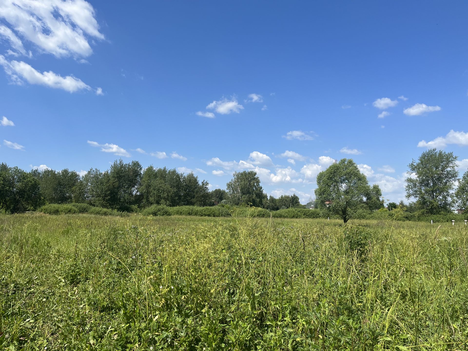 Земли поселения Московская область, Раменский городской округ, деревня Сафоново, 2-я Совхозная улица