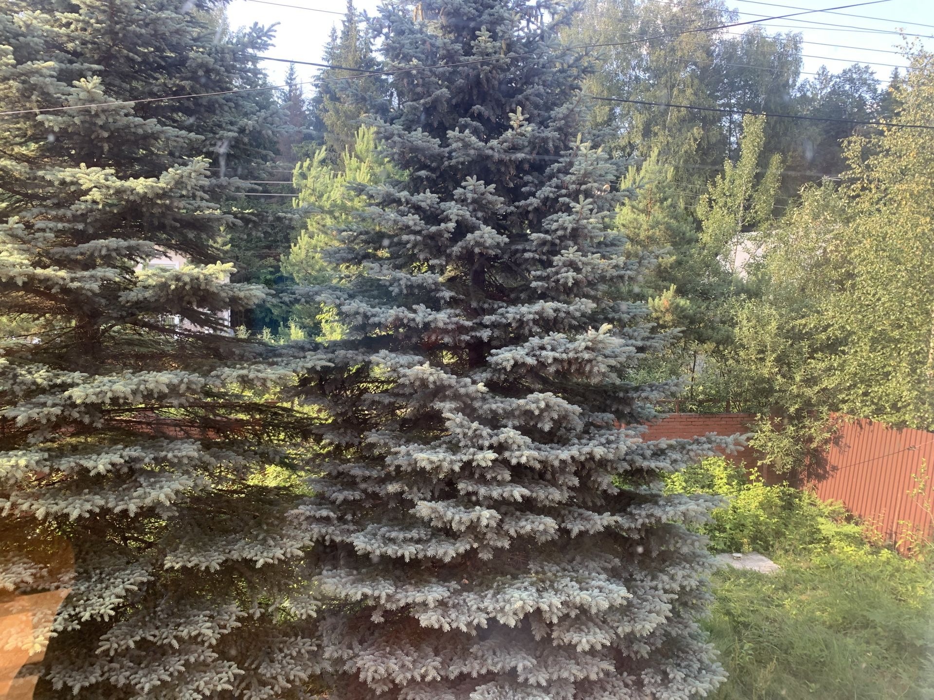 Дом Московская область, Одинцовский городской округ, садоводческое некоммерческое товарищество Фортуна