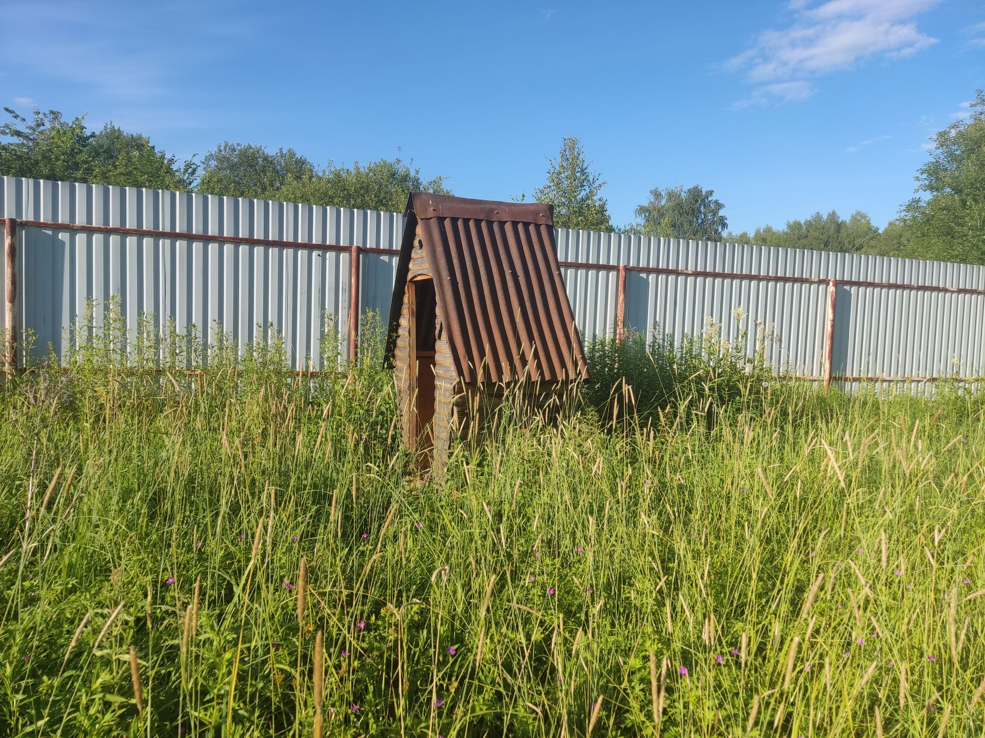 Земли поселения Московская область, городской округ Пушкинский, дачный посёлок Ашукино
