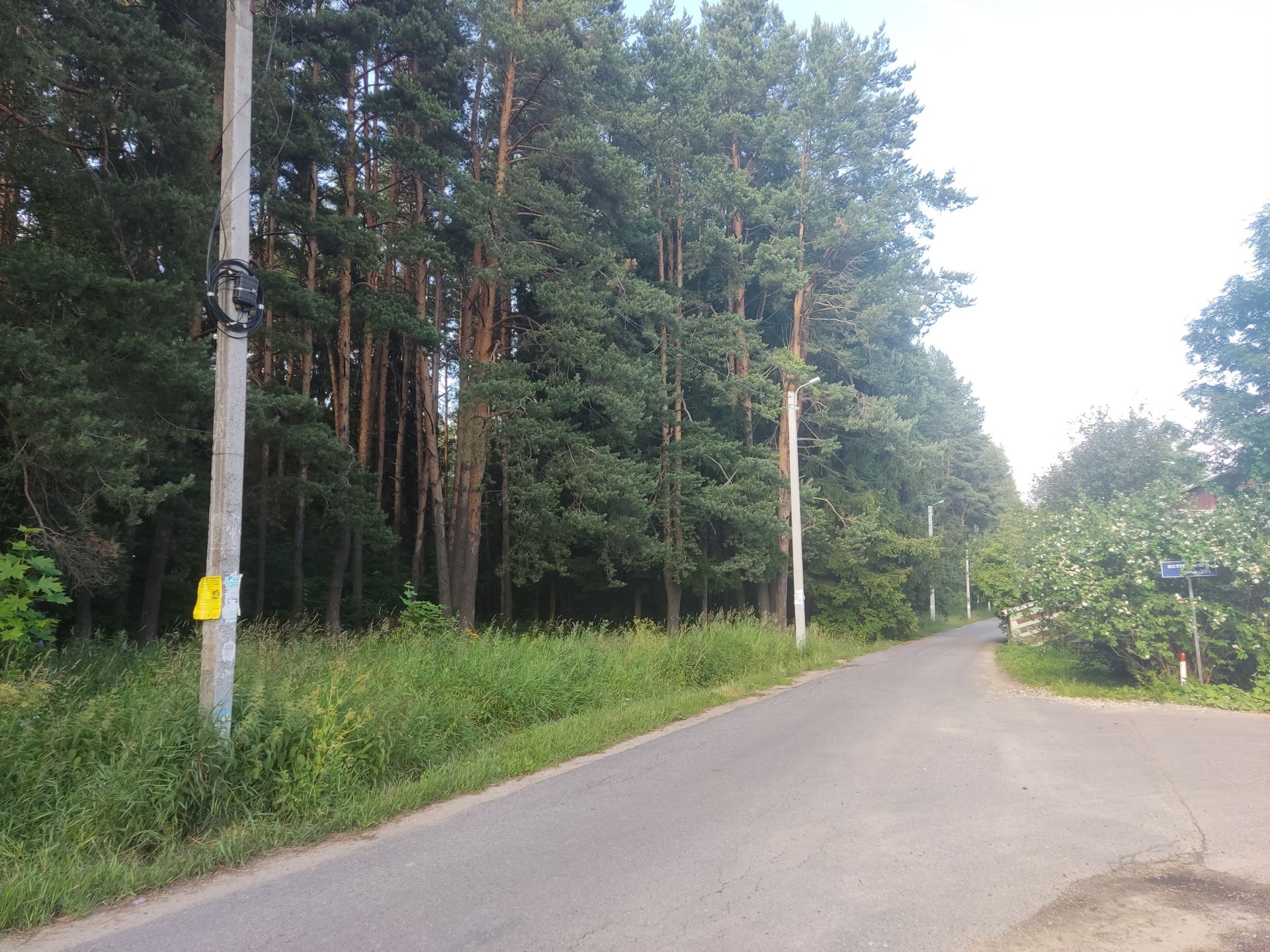 Земли поселения Московская область, городской округ Пушкинский, дачный посёлок Ашукино