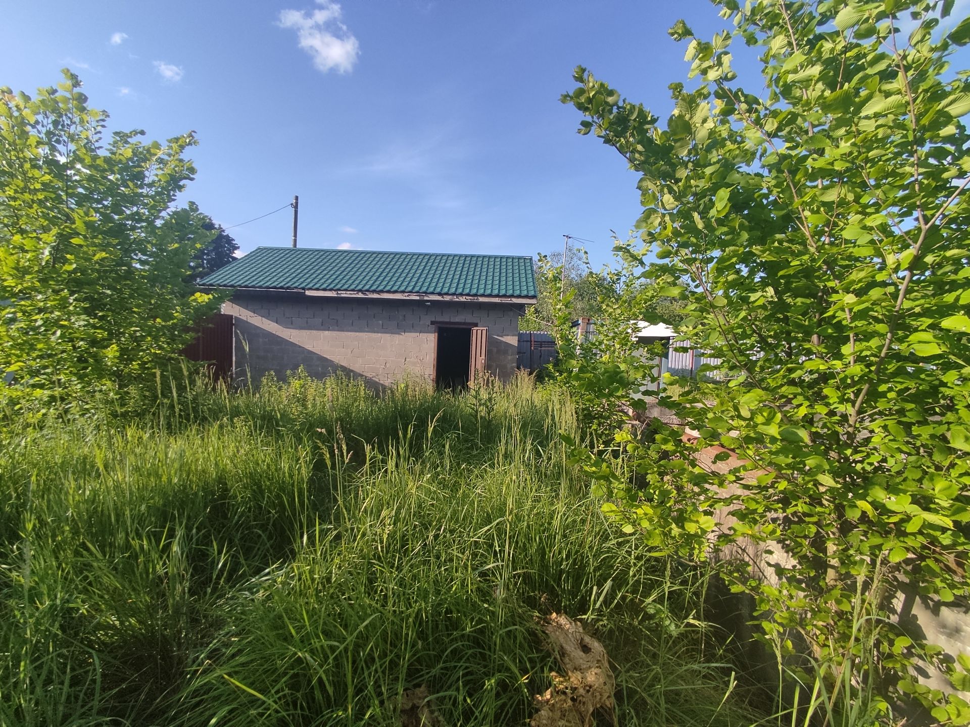 Земли поселения Московская область, городской округ Пушкинский, дачный посёлок Ашукино