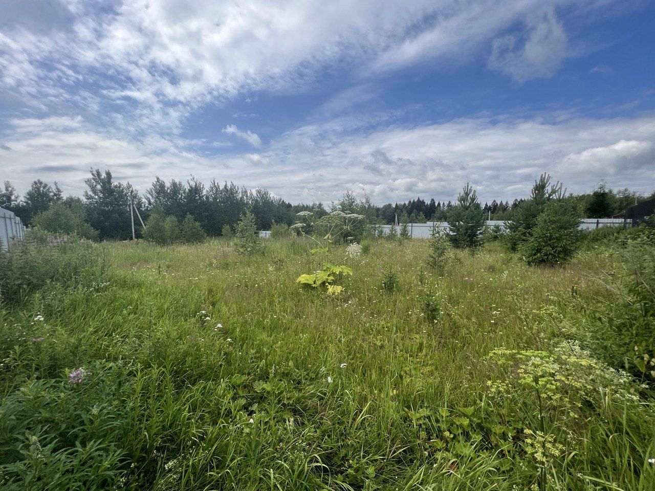 Земли поселения Московская область, городской округ Солнечногорск, деревня Болкашино