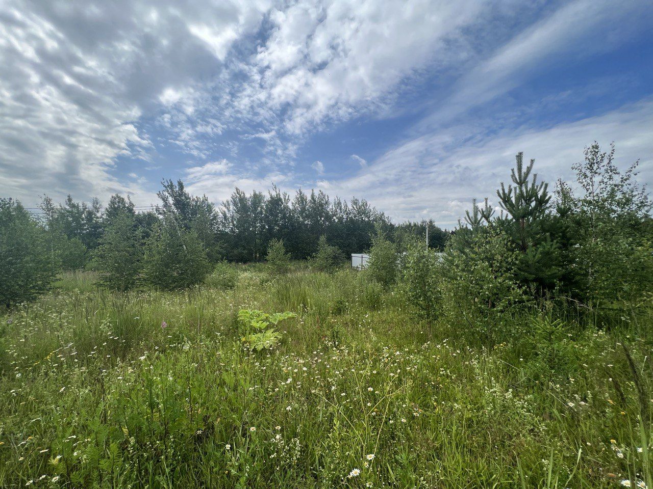 Земли поселения Московская область, городской округ Солнечногорск, деревня Болкашино