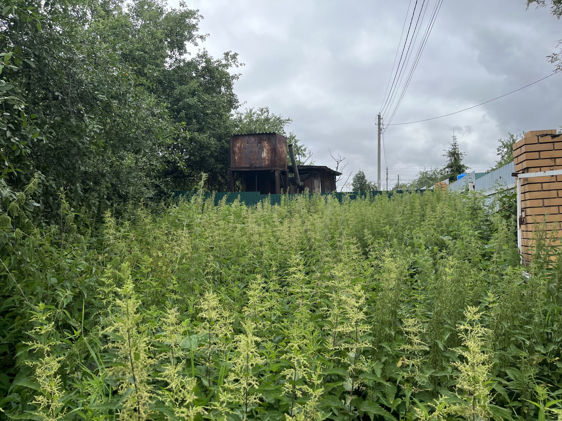 Земли поселения Московская область, Раменский городской округ, деревня Каменное Тяжино