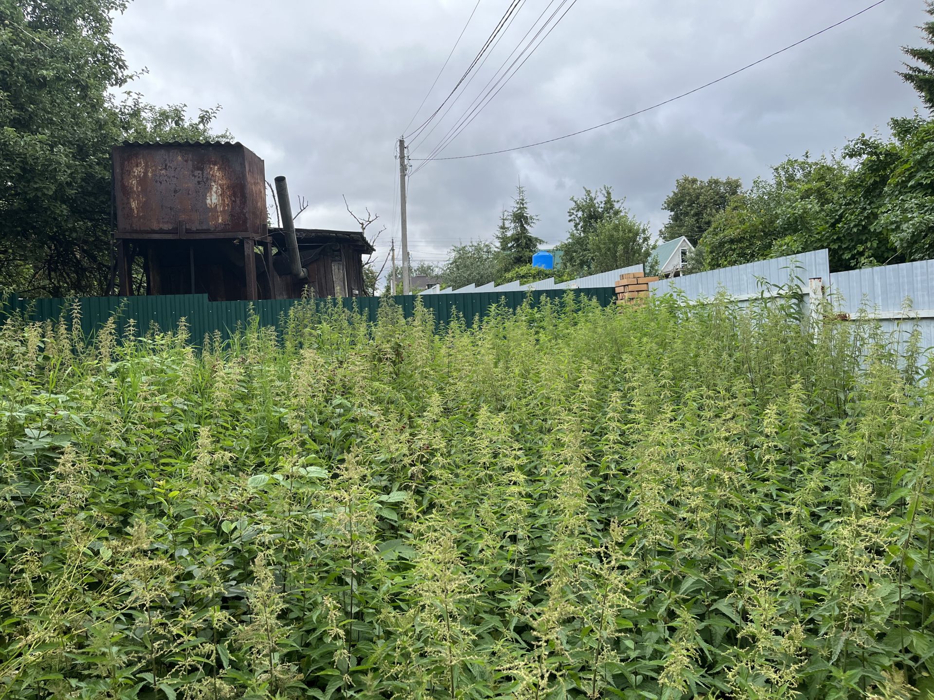 Земли поселения Московская область, Раменский городской округ, деревня Каменное Тяжино