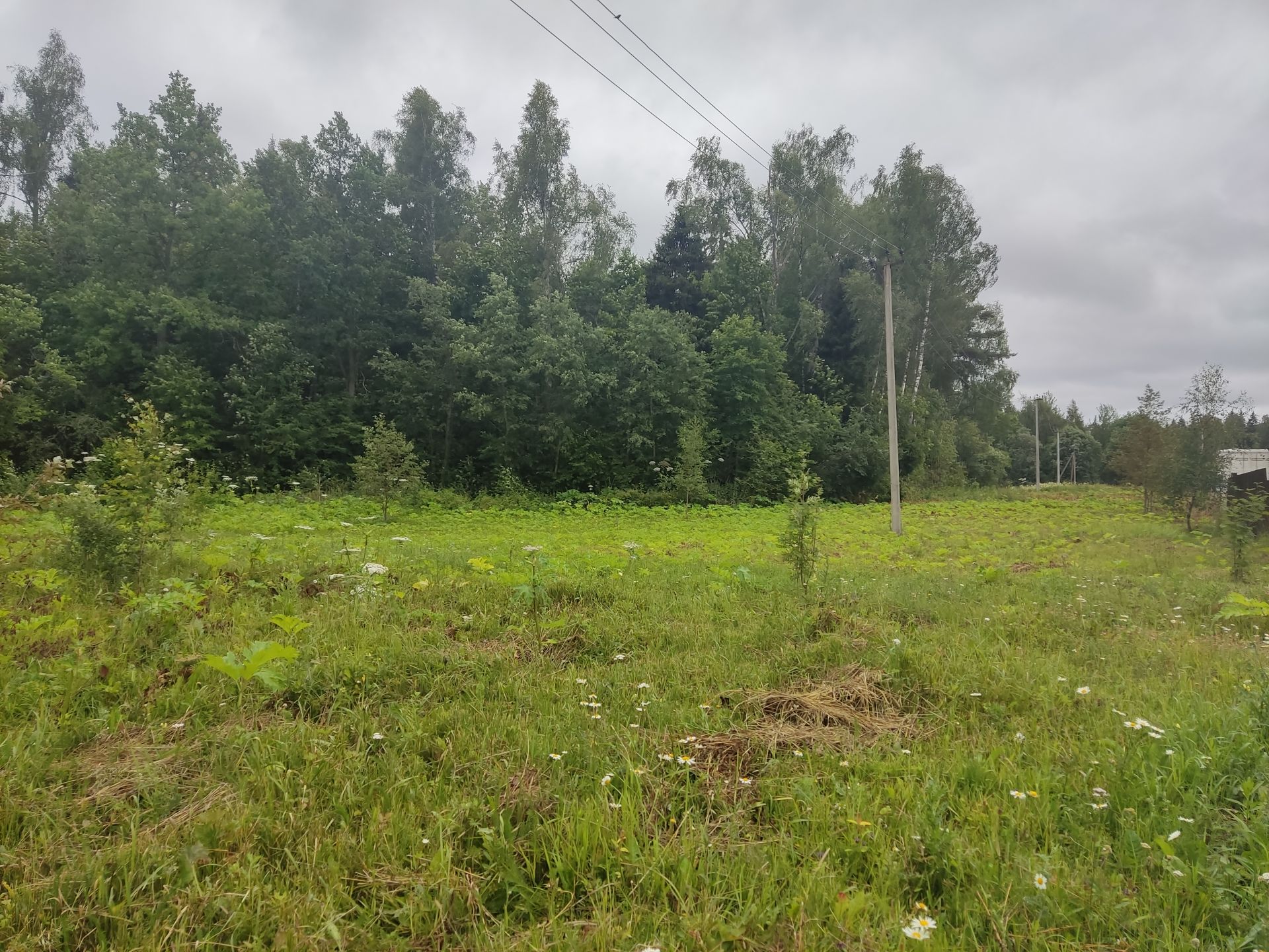 Земли поселения Московская область, городской округ Пушкинский, деревня Артёмово