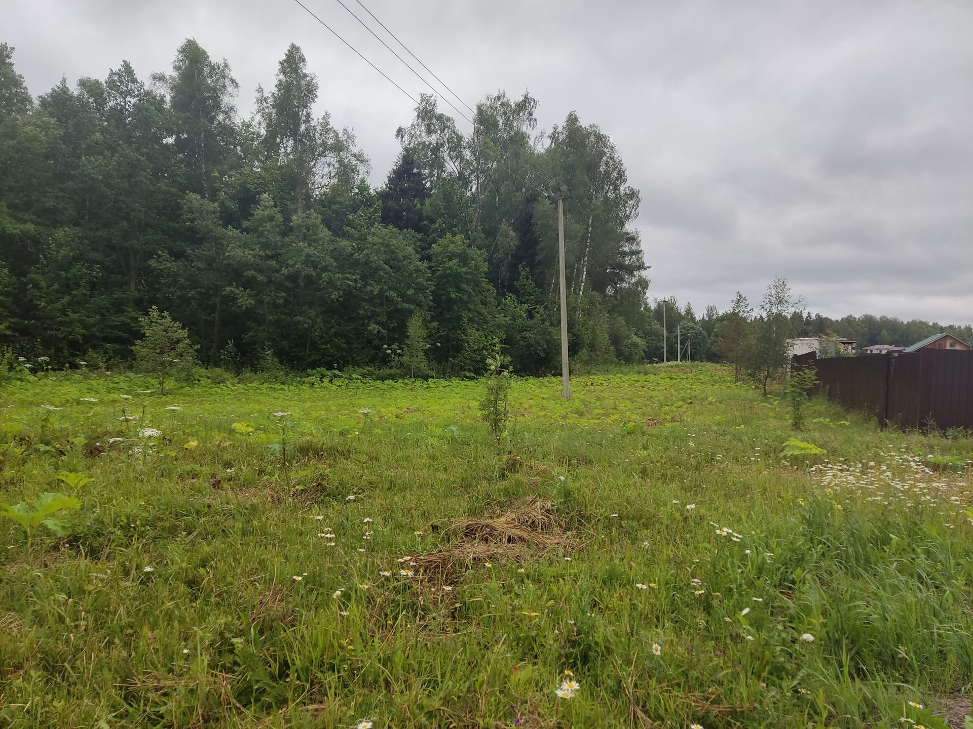 Земли поселения Московская область, городской округ Пушкинский, деревня Артёмово