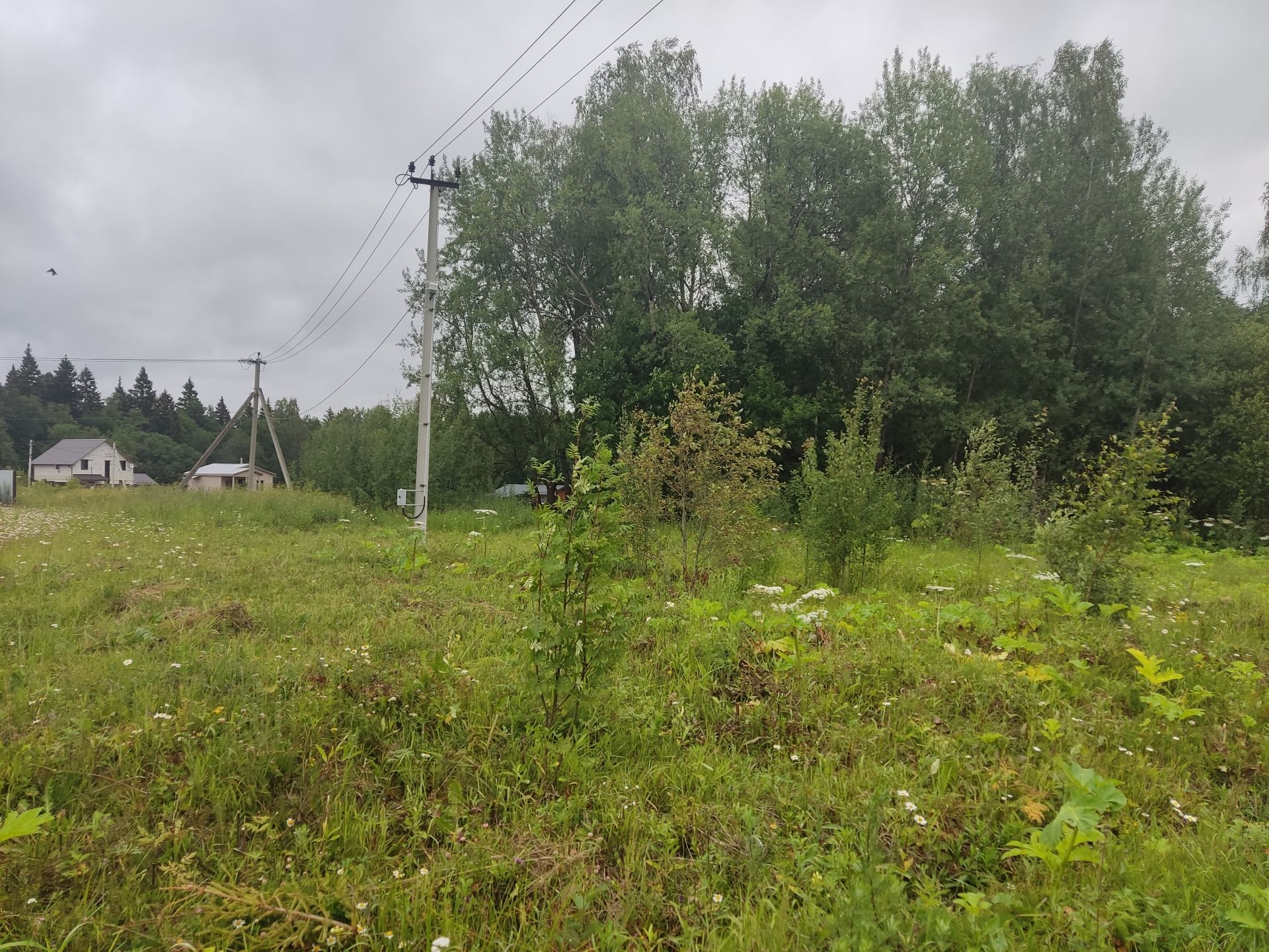Земли поселения Московская область, городской округ Пушкинский, деревня Артёмово