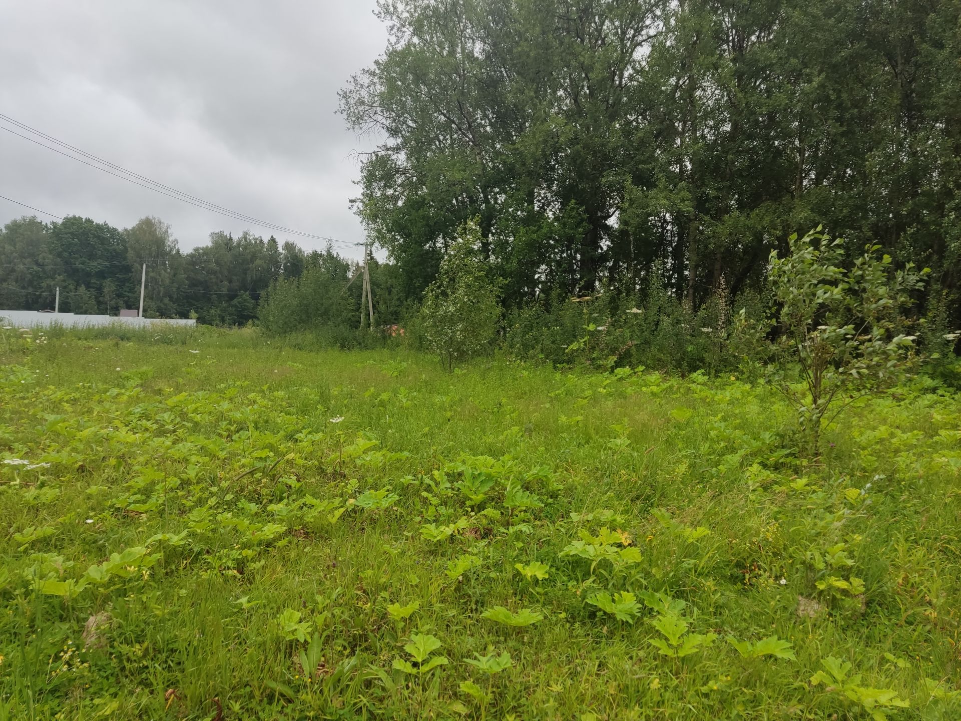 Земли поселения Московская область, городской округ Пушкинский, деревня Артёмово