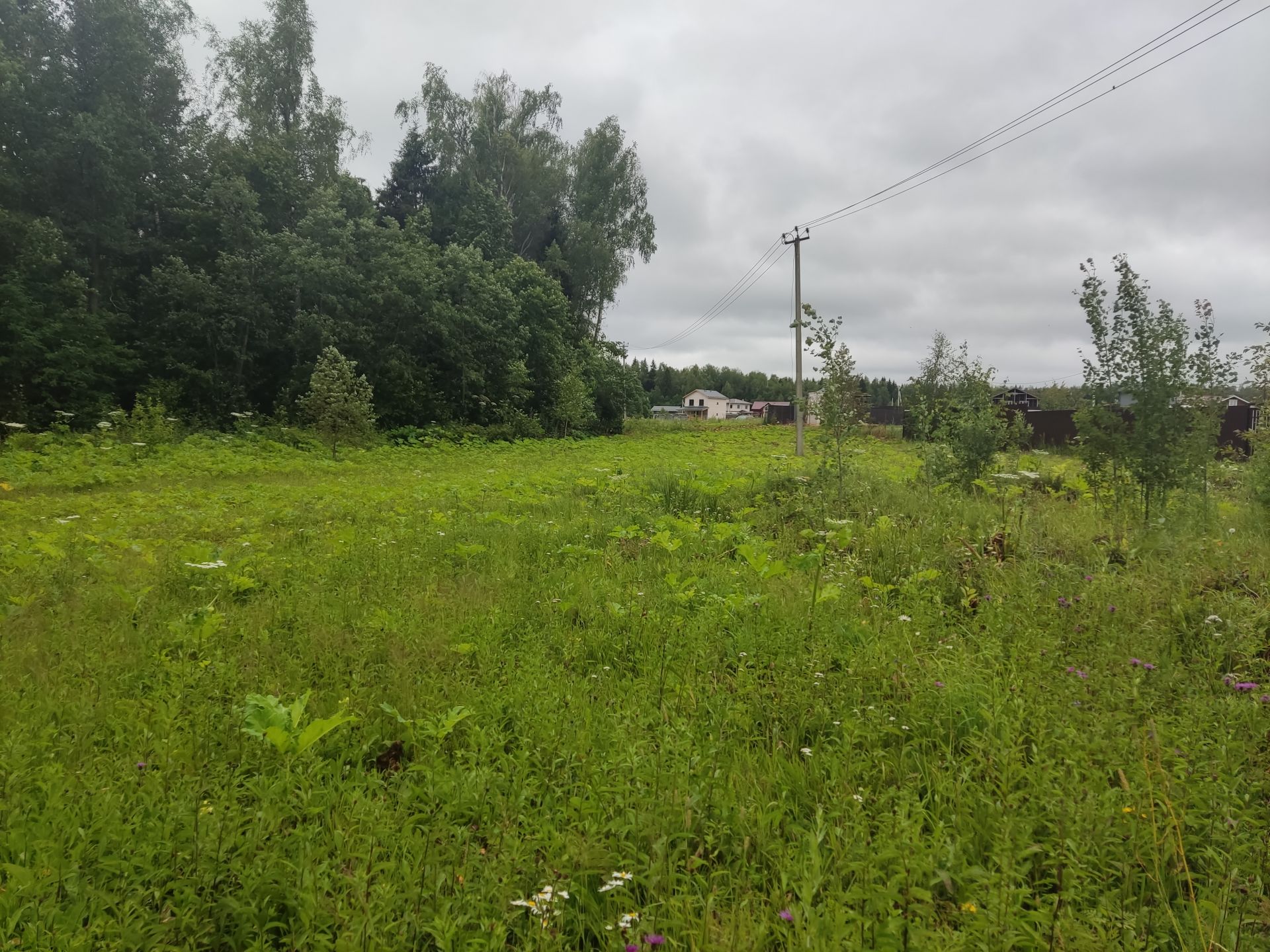 Земли поселения Московская область, городской округ Пушкинский, деревня Артёмово