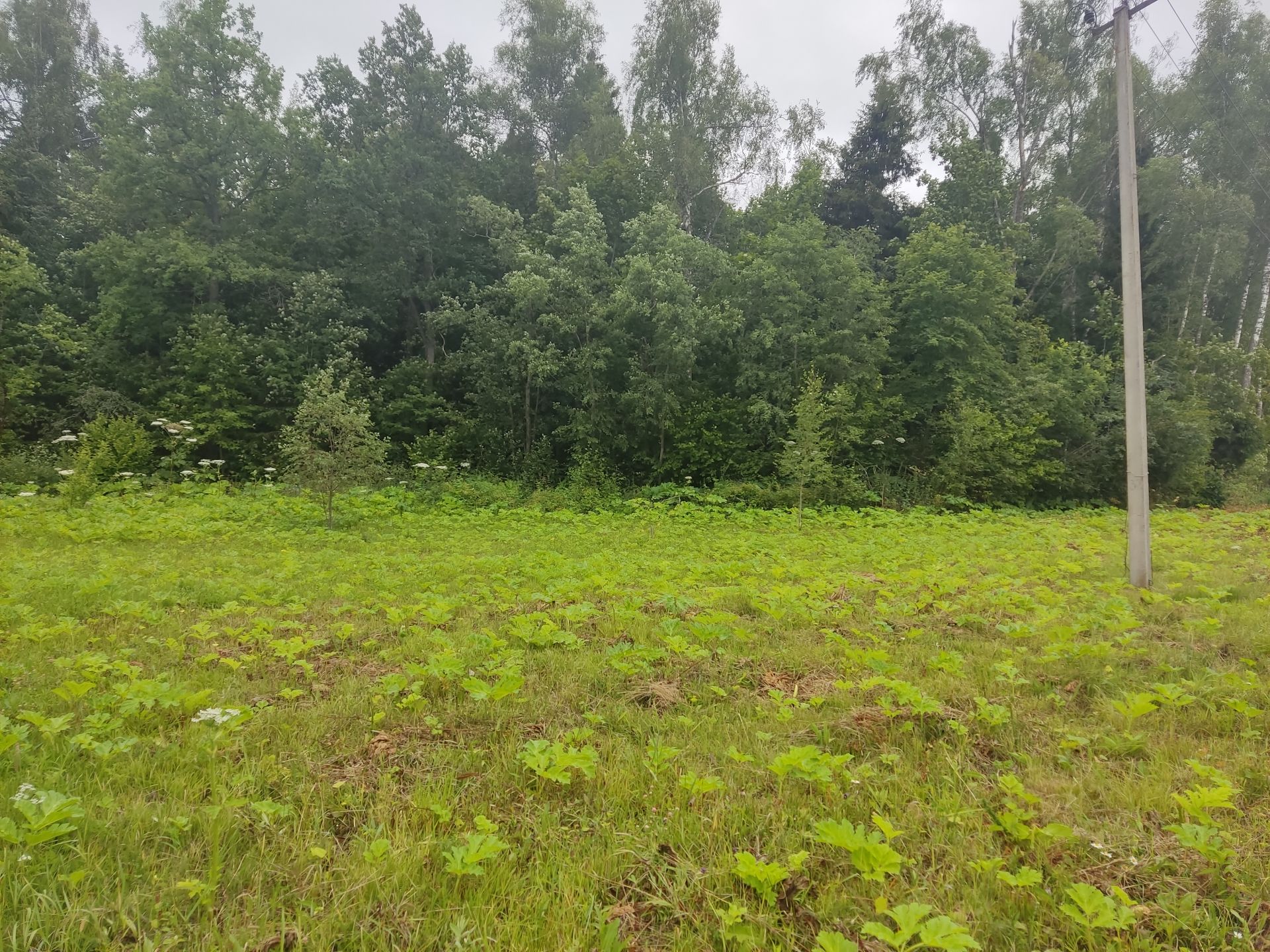 Земли поселения Московская область, городской округ Пушкинский, деревня Артёмово