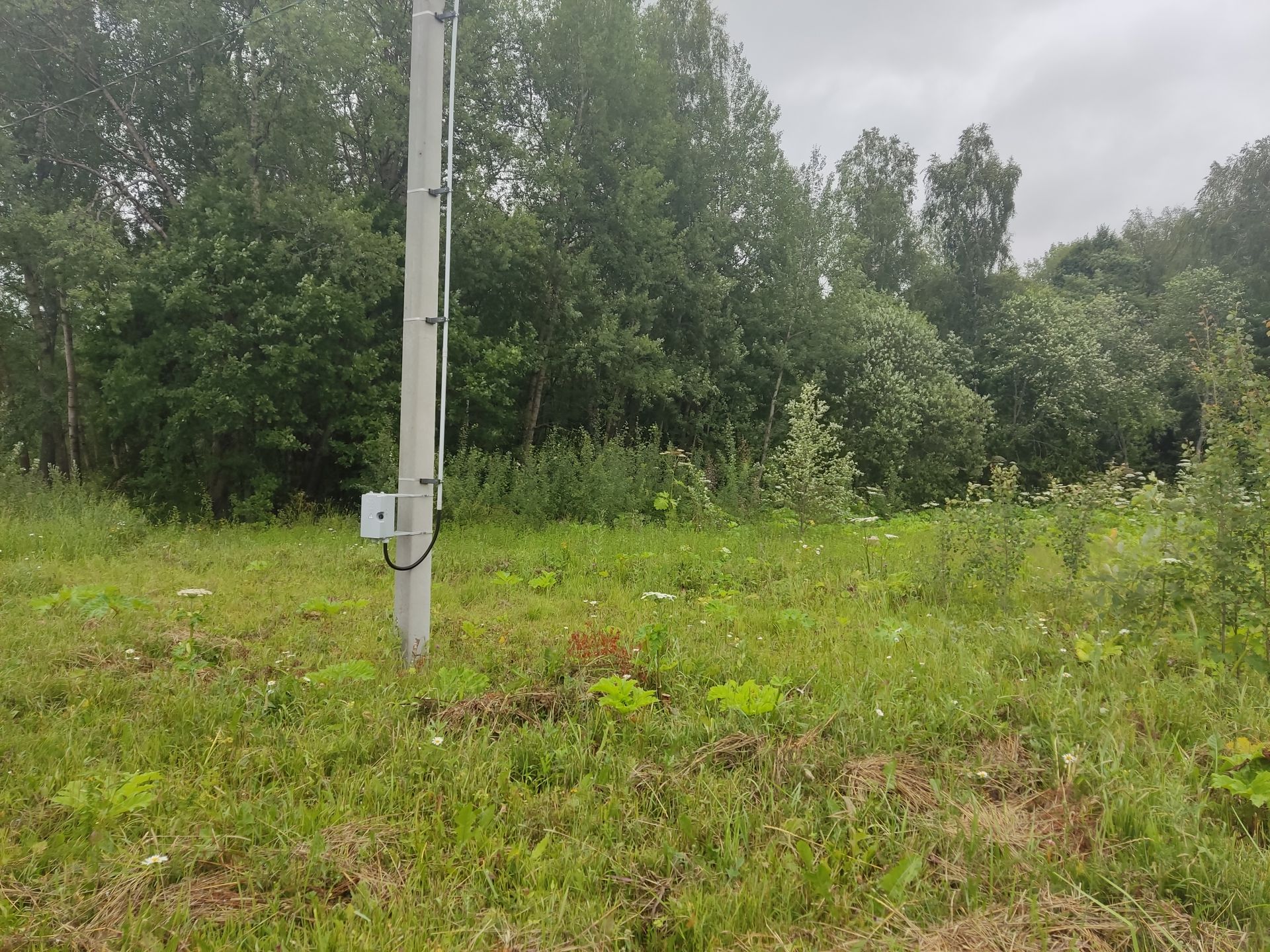 Земли поселения Московская область, городской округ Пушкинский, деревня Артёмово
