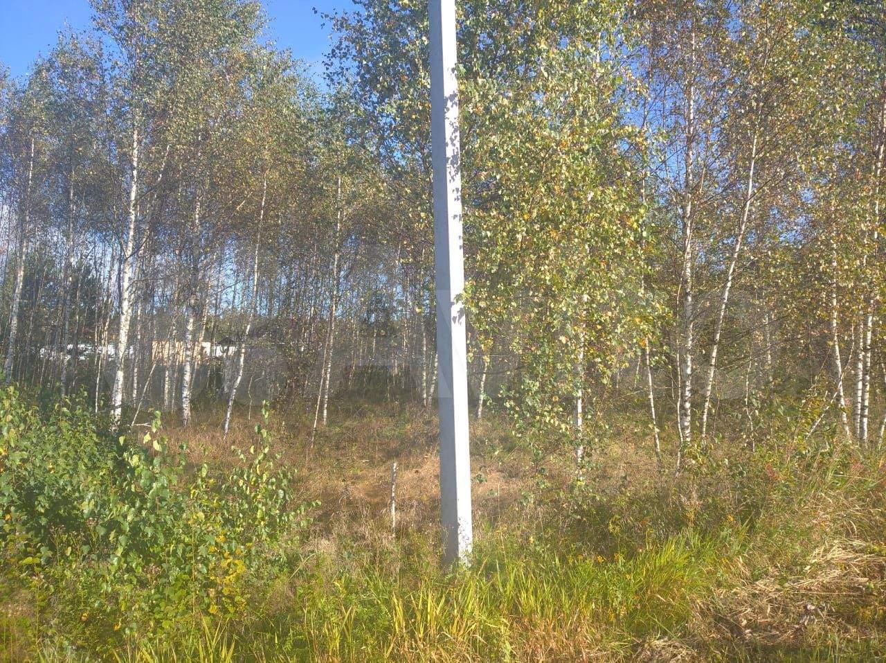 Земли сельхозназначения Московская область, Можайский городской округ, деревня Денисьево