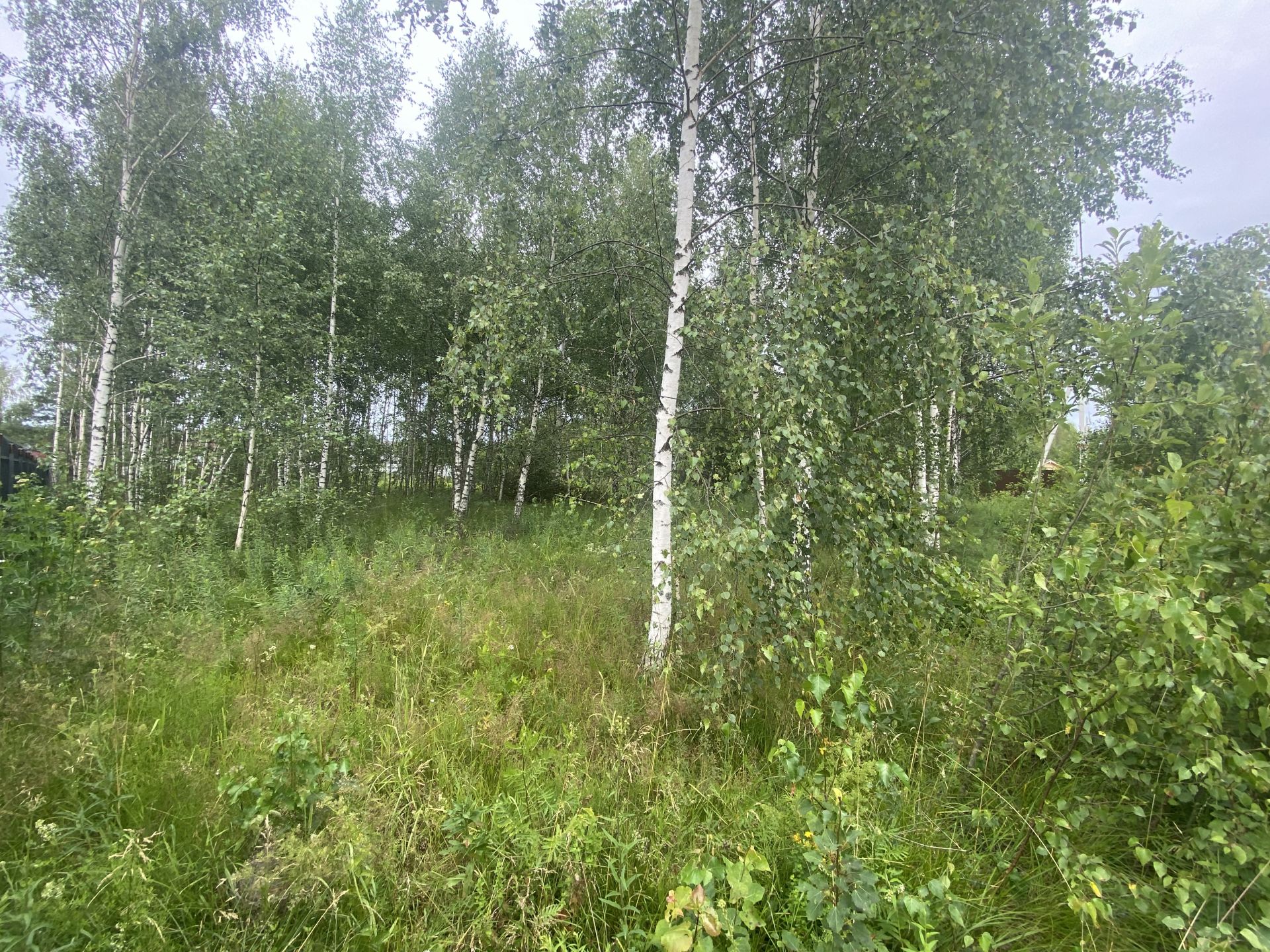 Земли сельхозназначения Московская область, Можайский городской округ, деревня Денисьево