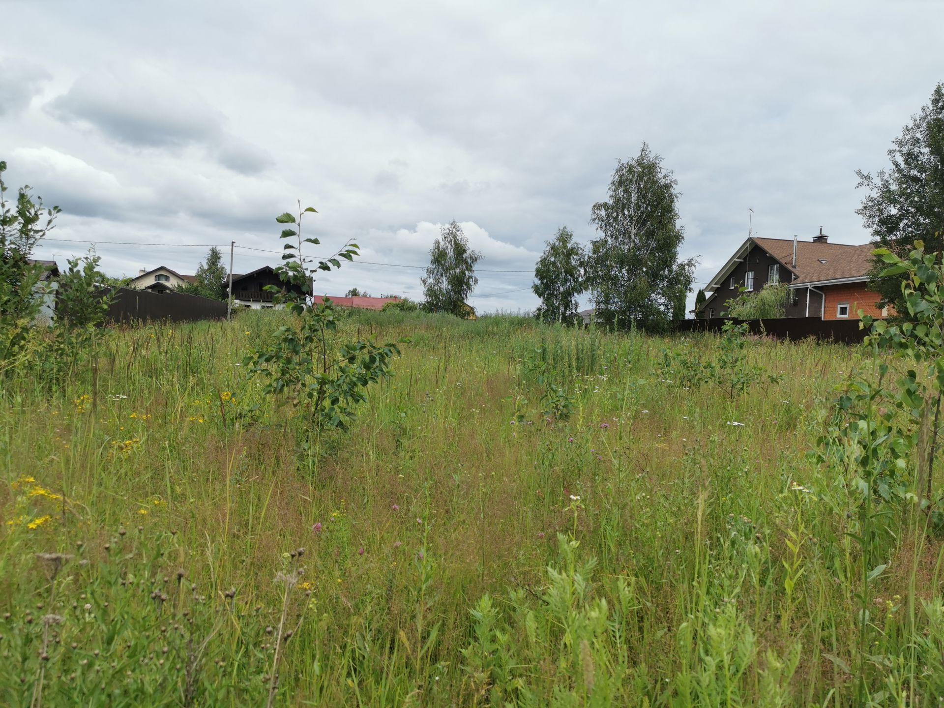 Земли поселения Московская область, Одинцовский городской округ, посёлок санатория имени Герцена, территория ПДСК Родник-Герцено