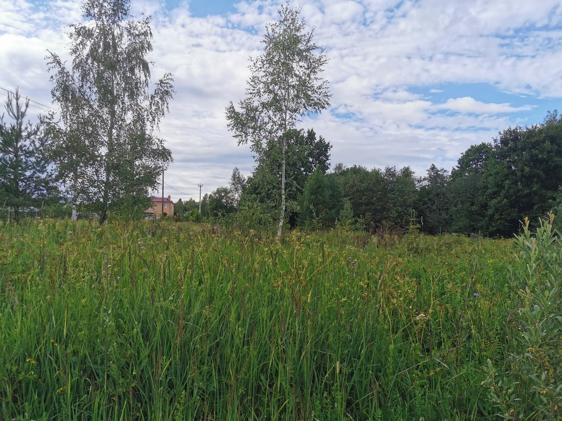 Земли поселения Московская область, Одинцовский городской округ, деревня Дьяконово