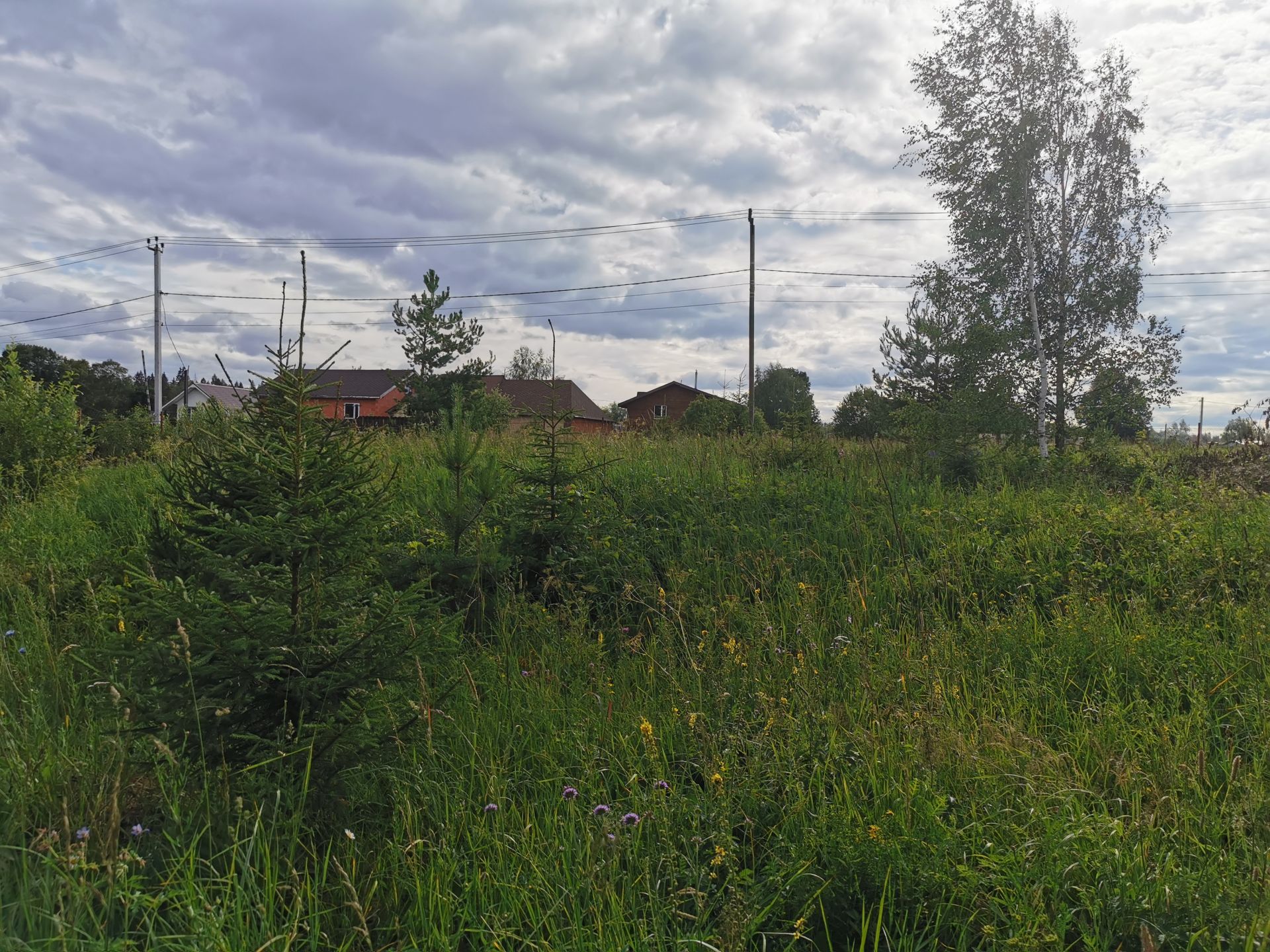 Земли поселения Московская область, Одинцовский городской округ, деревня Дьяконово
