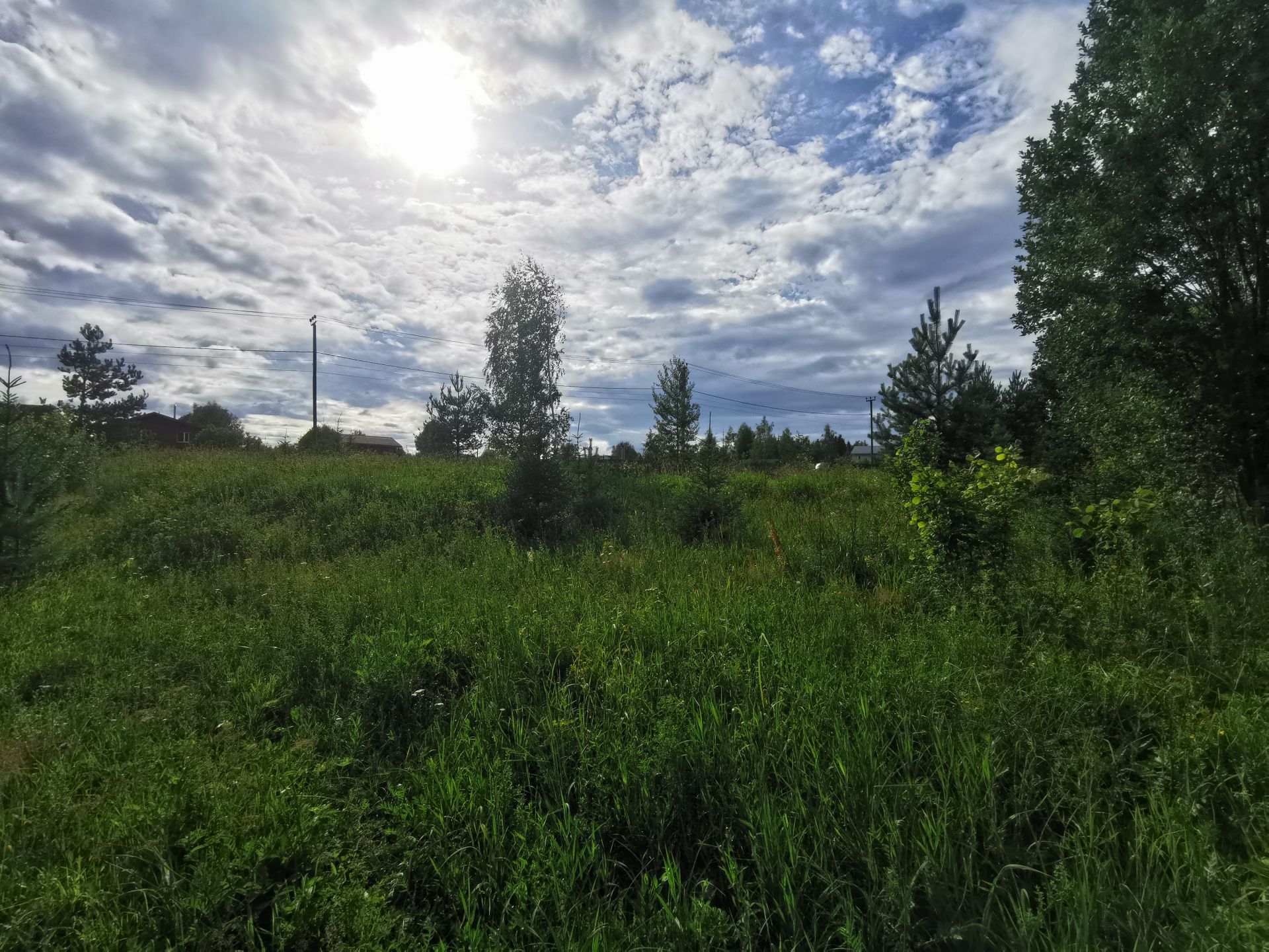 Земли поселения Московская область, Одинцовский городской округ, деревня Дьяконово