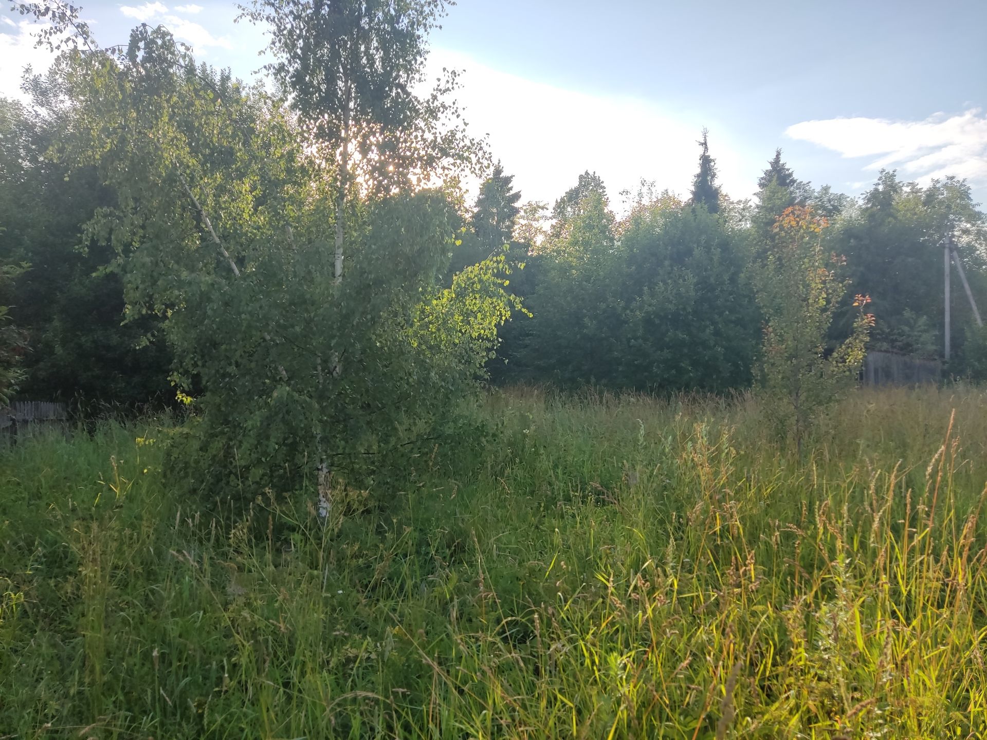 Земли поселения Московская область, городской округ Пушкинский, деревня Подвязново
