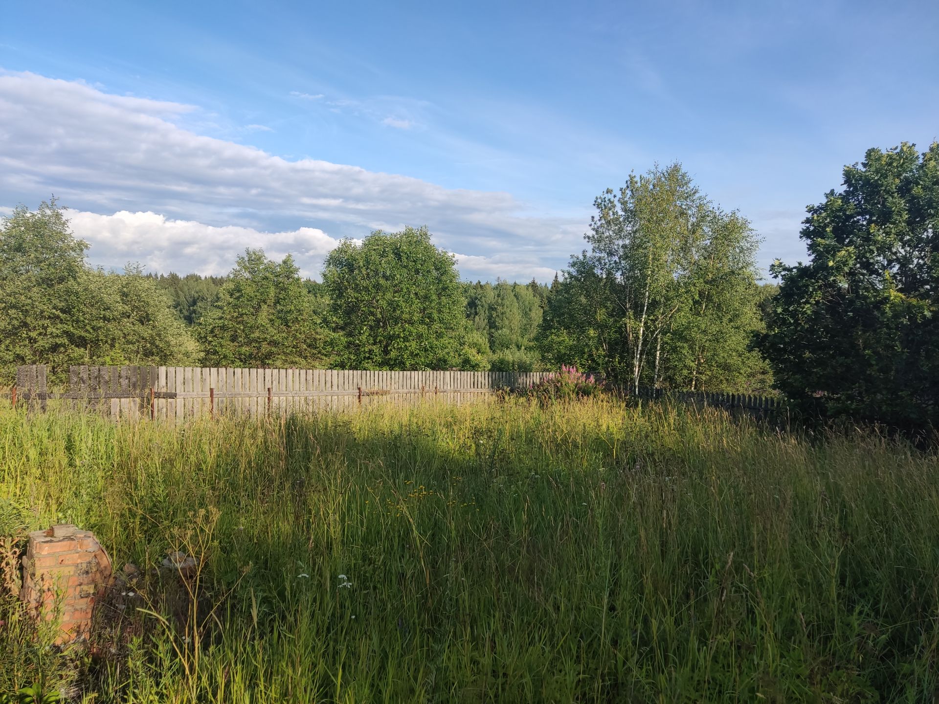 Земли поселения Московская область, городской округ Пушкинский, деревня Подвязново