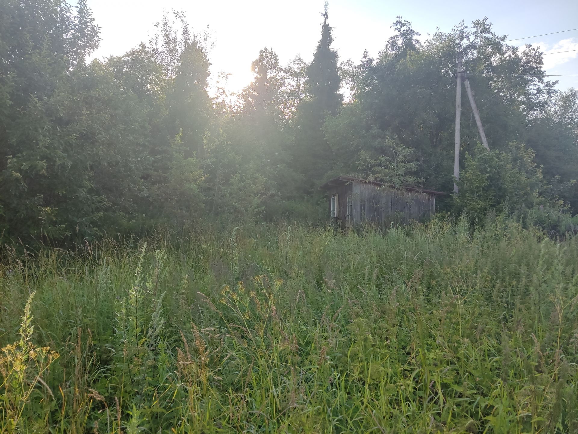 Земли поселения Московская область, городской округ Пушкинский, деревня Подвязново