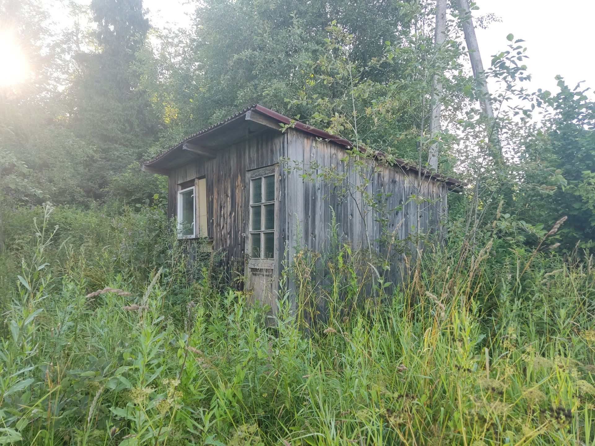 Земли поселения Московская область, городской округ Пушкинский, деревня Подвязново