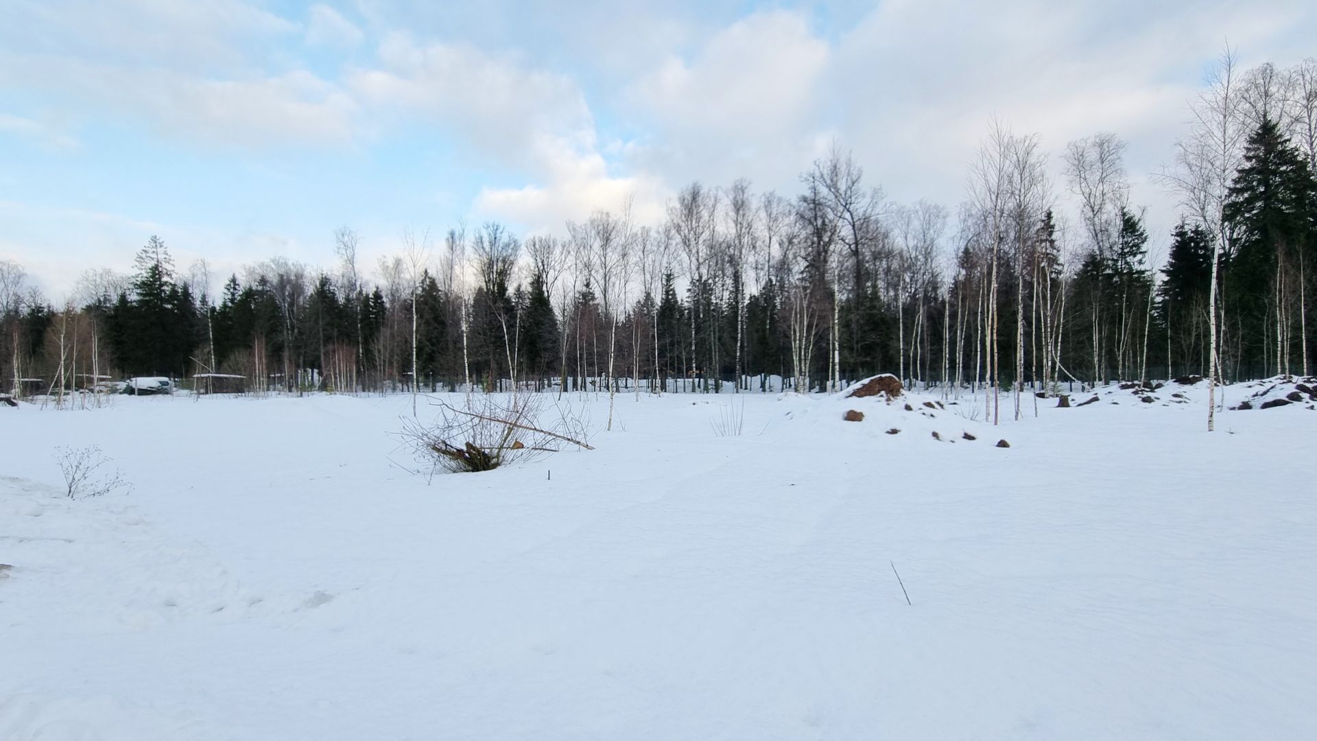 Земли поселения Московская область, городской округ Пушкинский, деревня Могильцы, коттеджный поселок Пушкинский лес