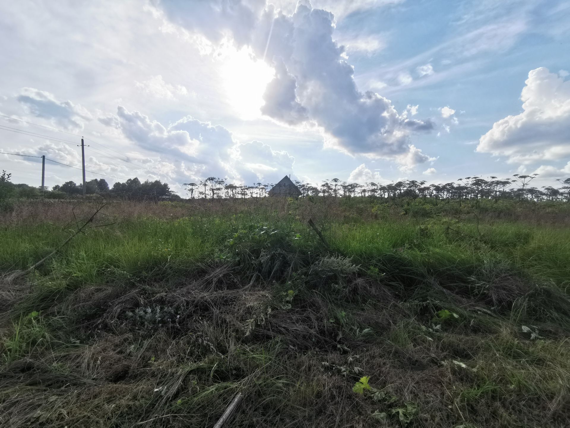 Земли поселения Московская область, Рузский городской округ, деревня Мытники