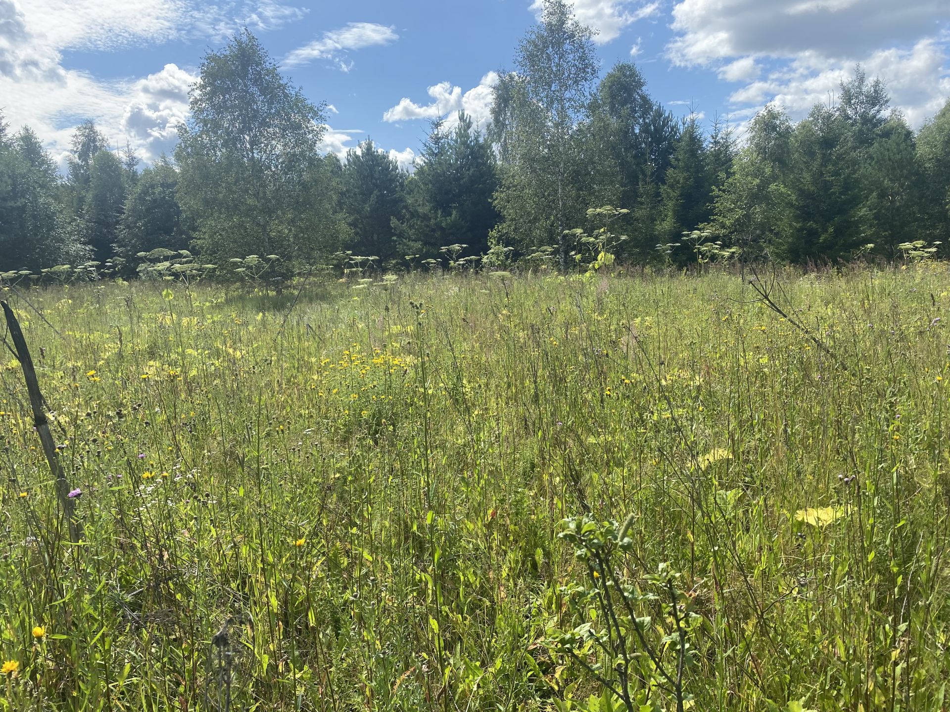 Земли поселения Московская область, Рузский городской округ, деревня Брыньково
