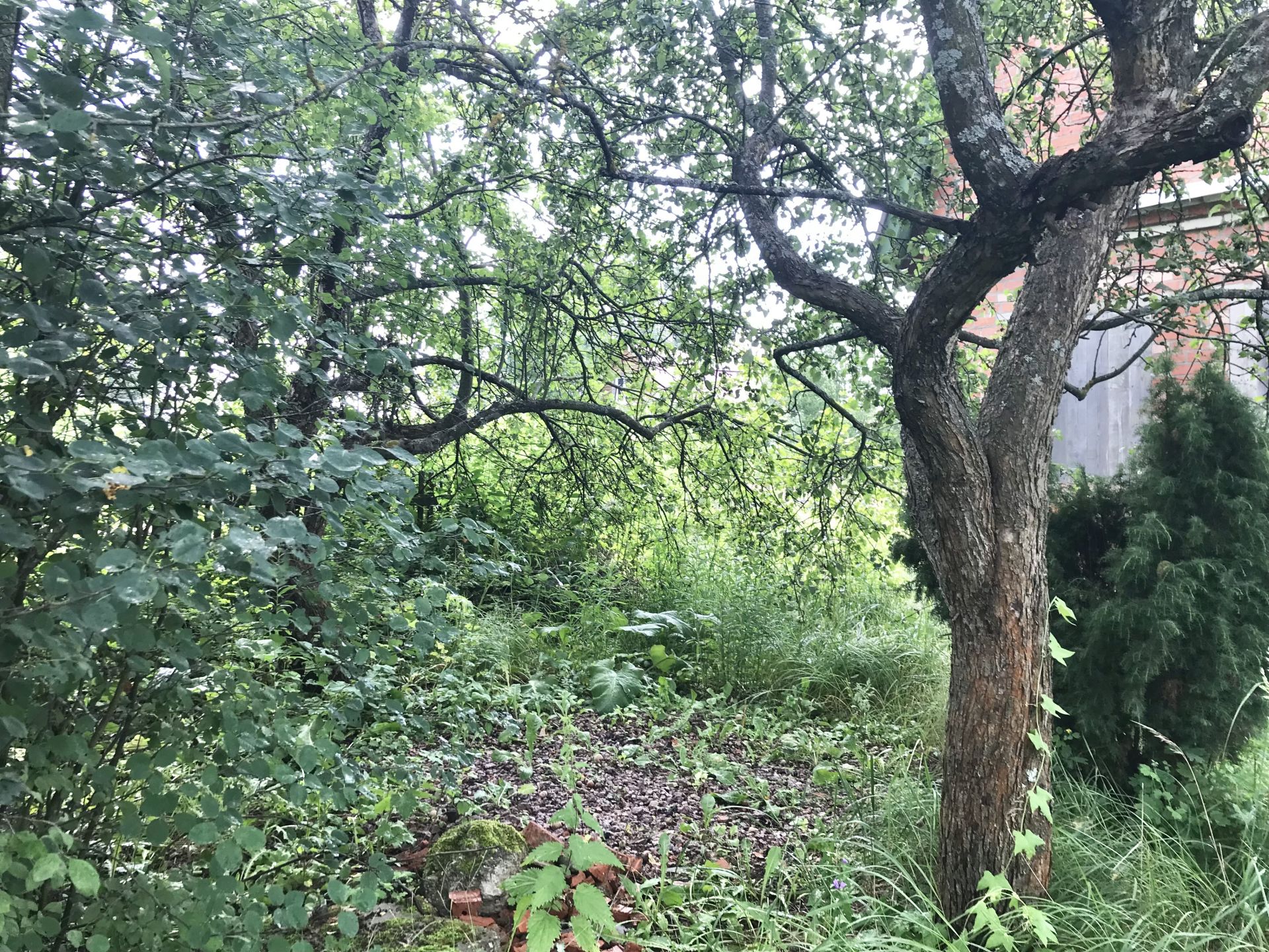Земли сельхозназначения Московская область, Раменский городской округ, садовое некоммерческое товарищество Электроизолятор