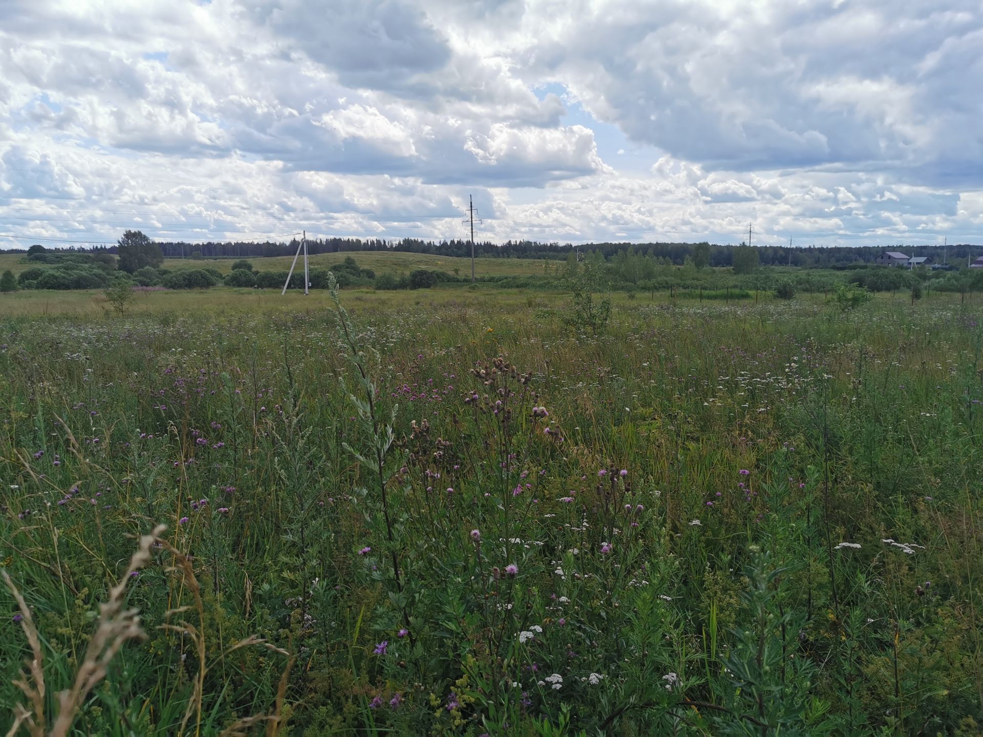 Земли поселения Московская область, Рузский городской округ, деревня Орешки