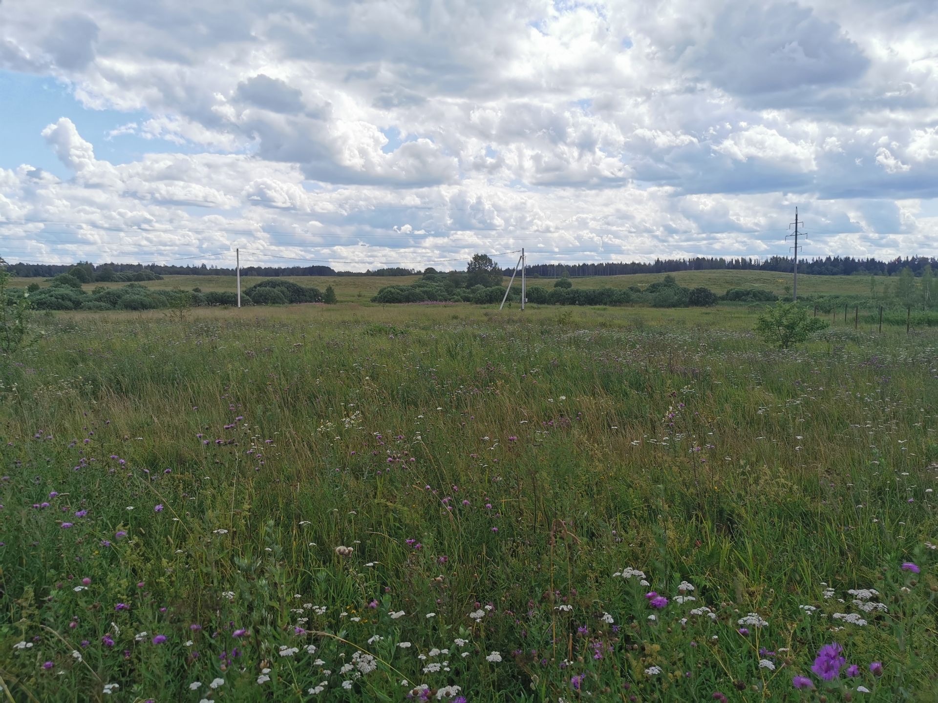 Земли поселения Московская область, Рузский городской округ, деревня Орешки