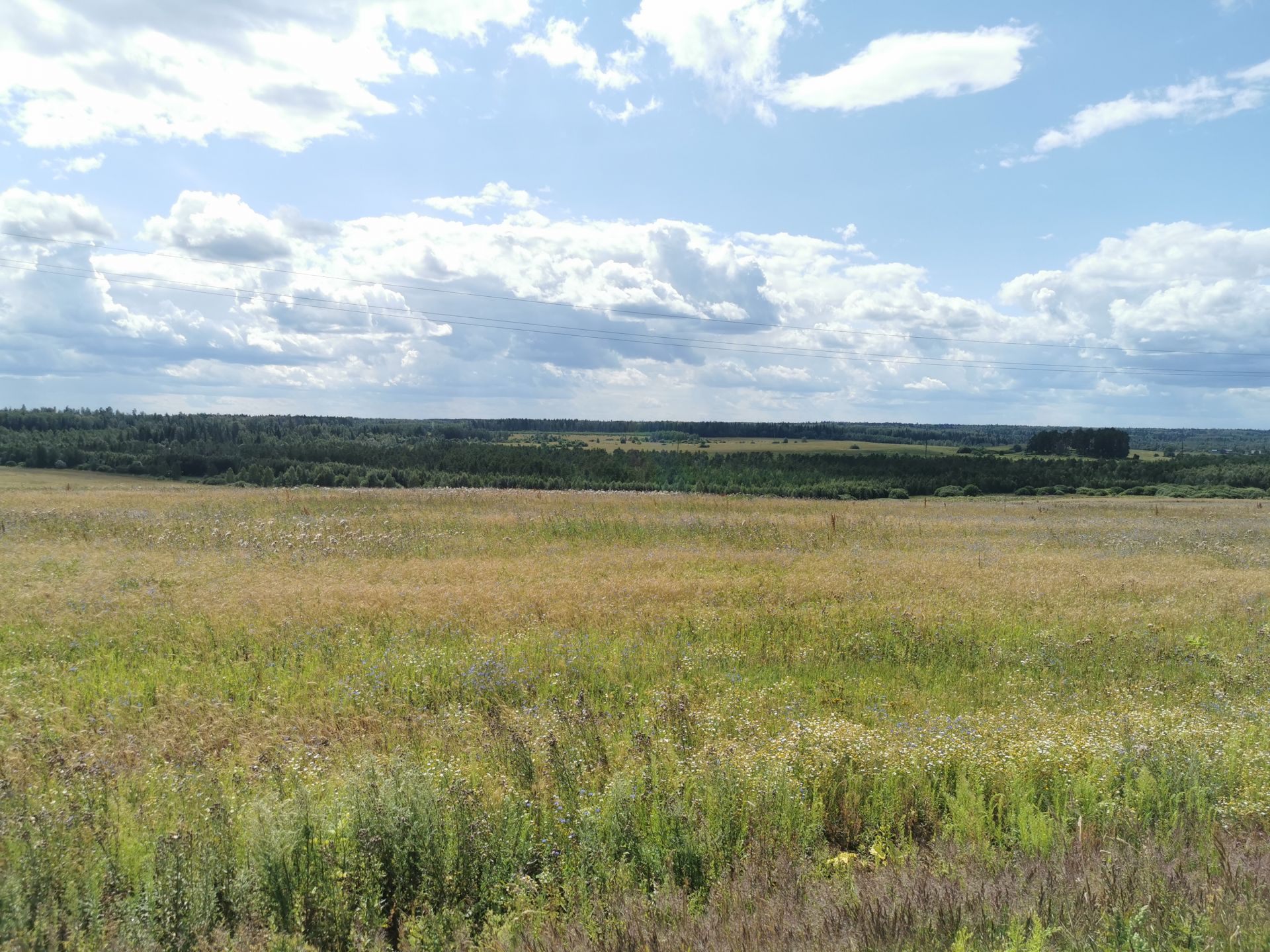 Земли поселения Московская область, Рузский городской округ, деревня Орешки
