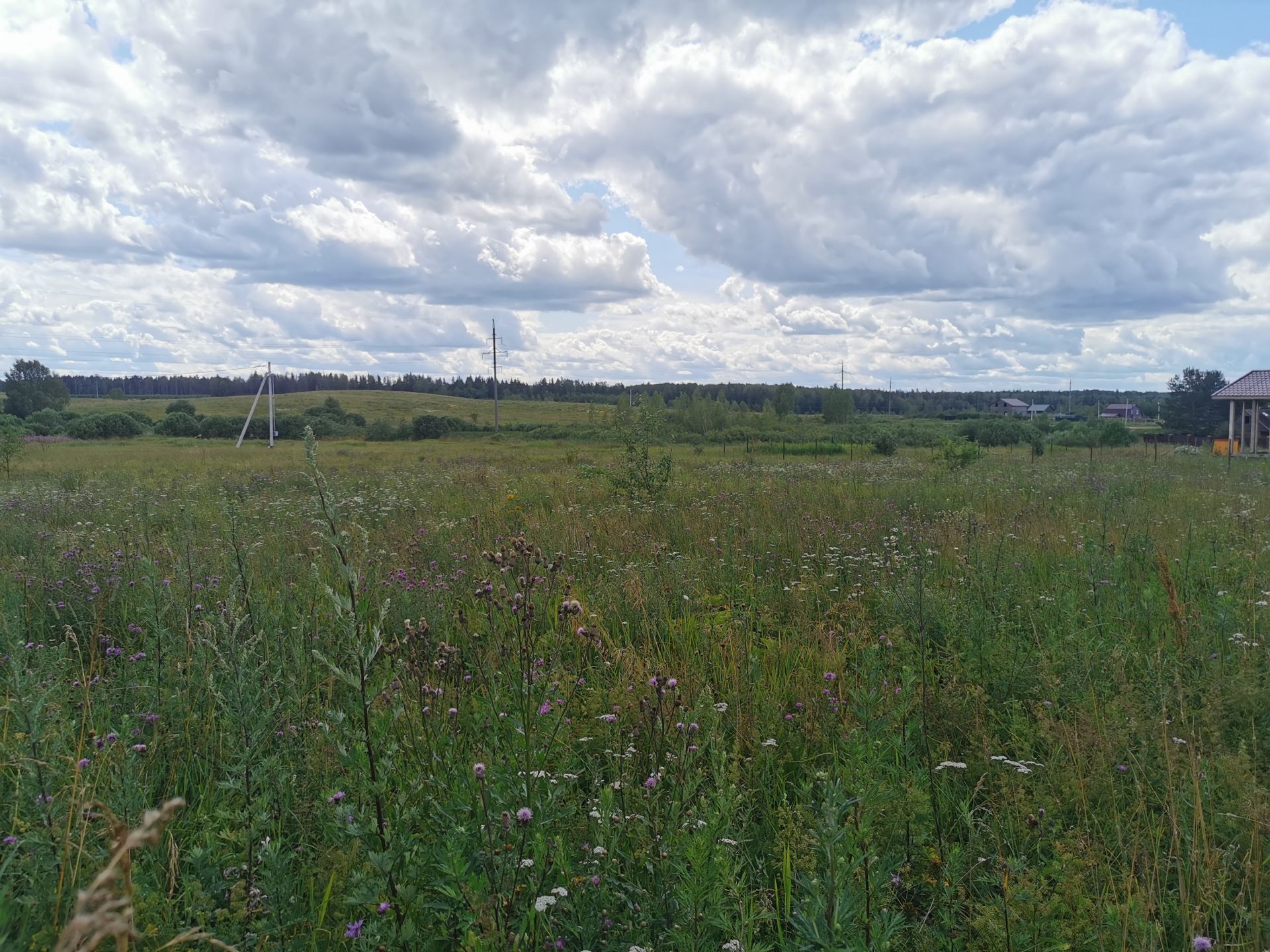 Земли поселения Московская область, Рузский городской округ, деревня Орешки