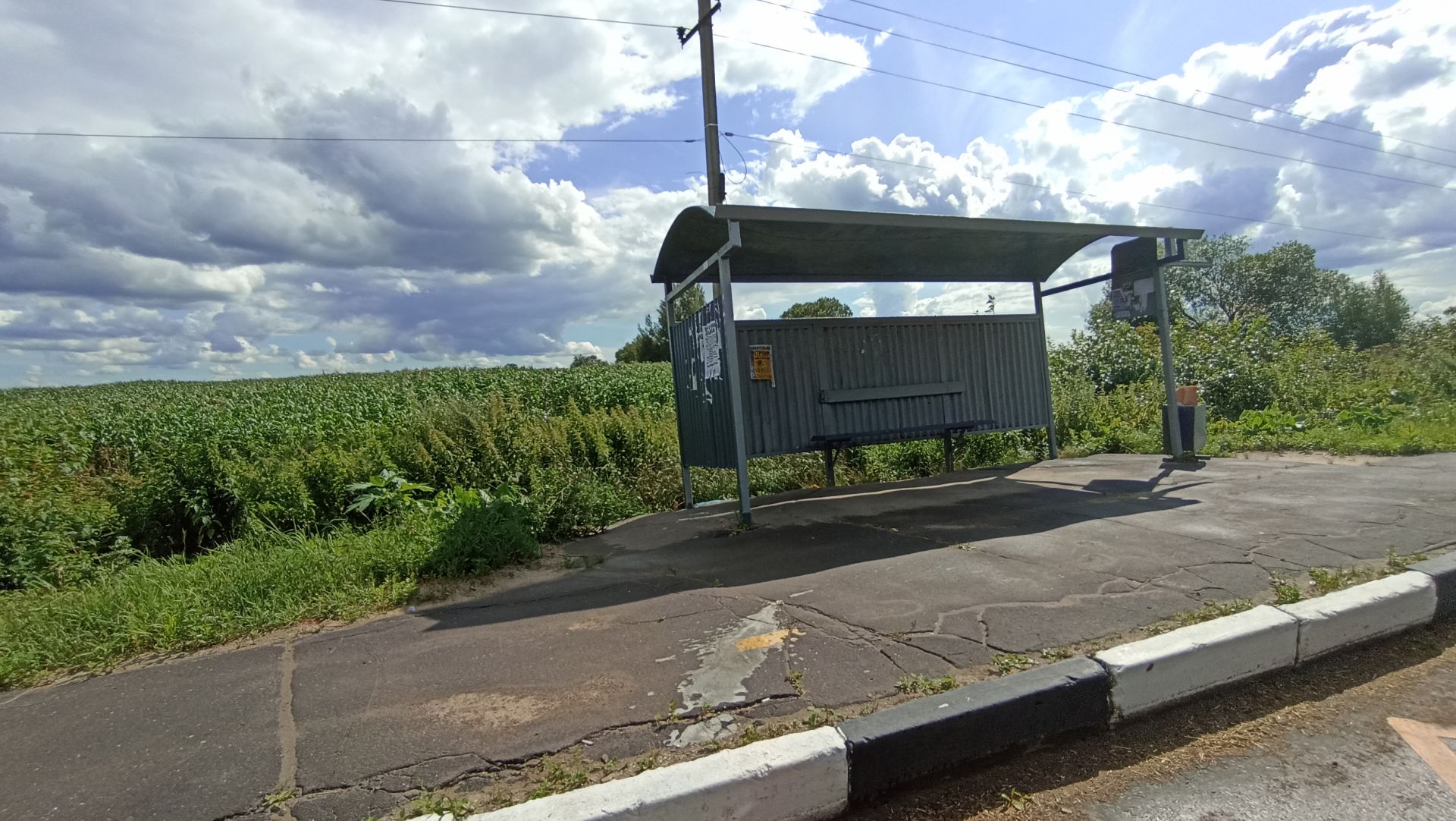 Земли поселения Московская область, Раменский городской округ, деревня Дьяково, коттеджный посёлок Муравино