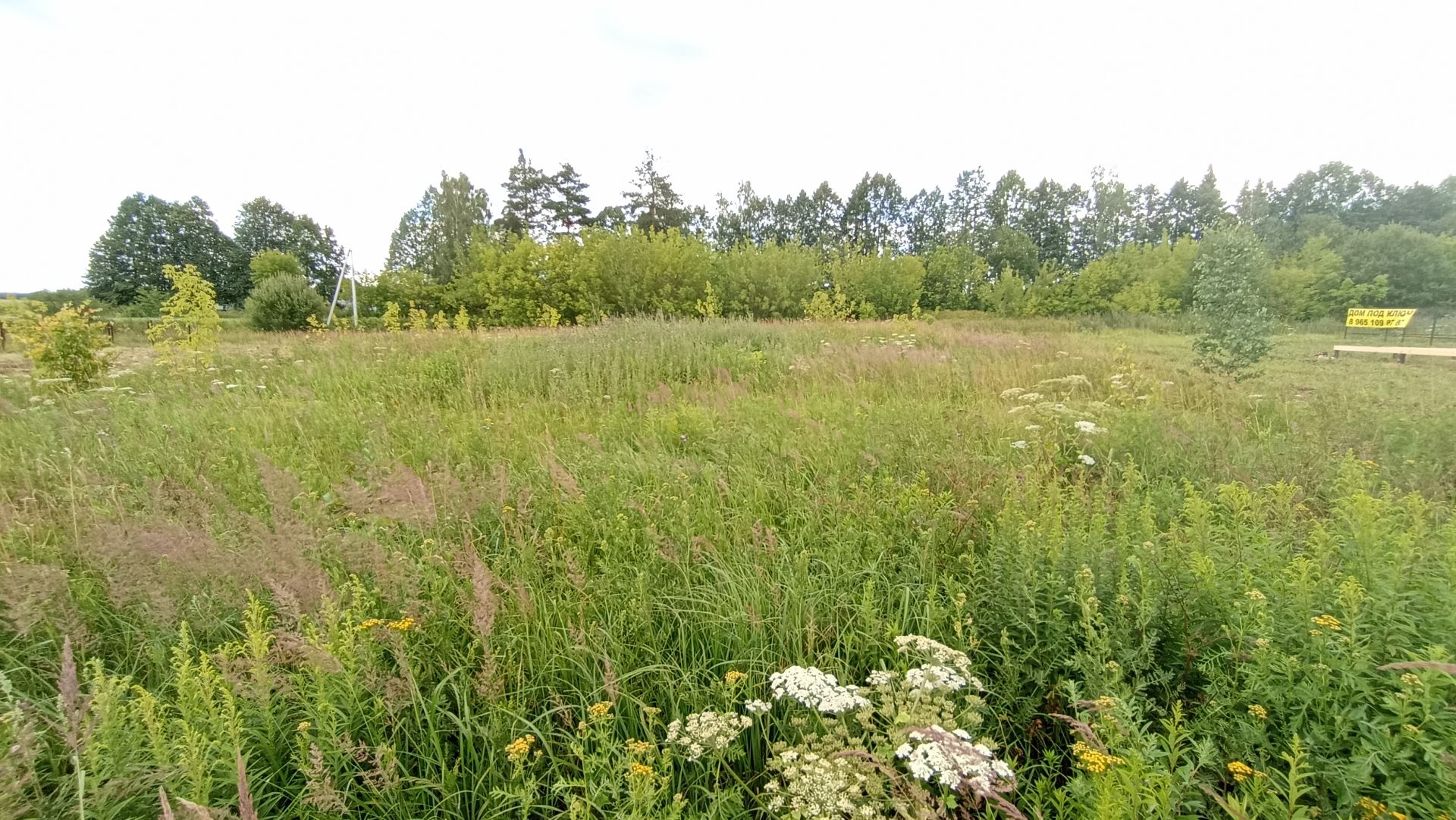 Земли поселения Московская область, Раменский городской округ, деревня Дьяково, коттеджный посёлок Муравино