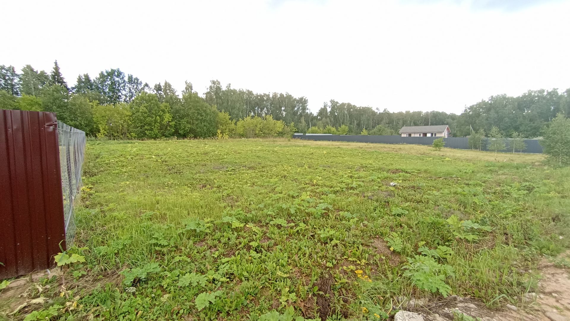 Земли поселения Московская область, Раменский городской округ, деревня Дьяково, коттеджный посёлок Муравино