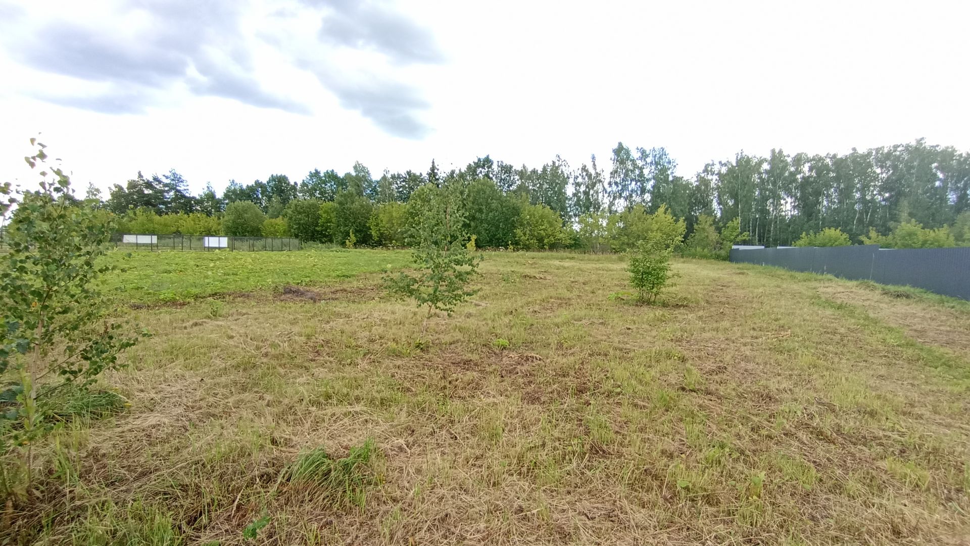 Земли поселения Московская область, Раменский городской округ, деревня Дьяково, коттеджный посёлок Муравино