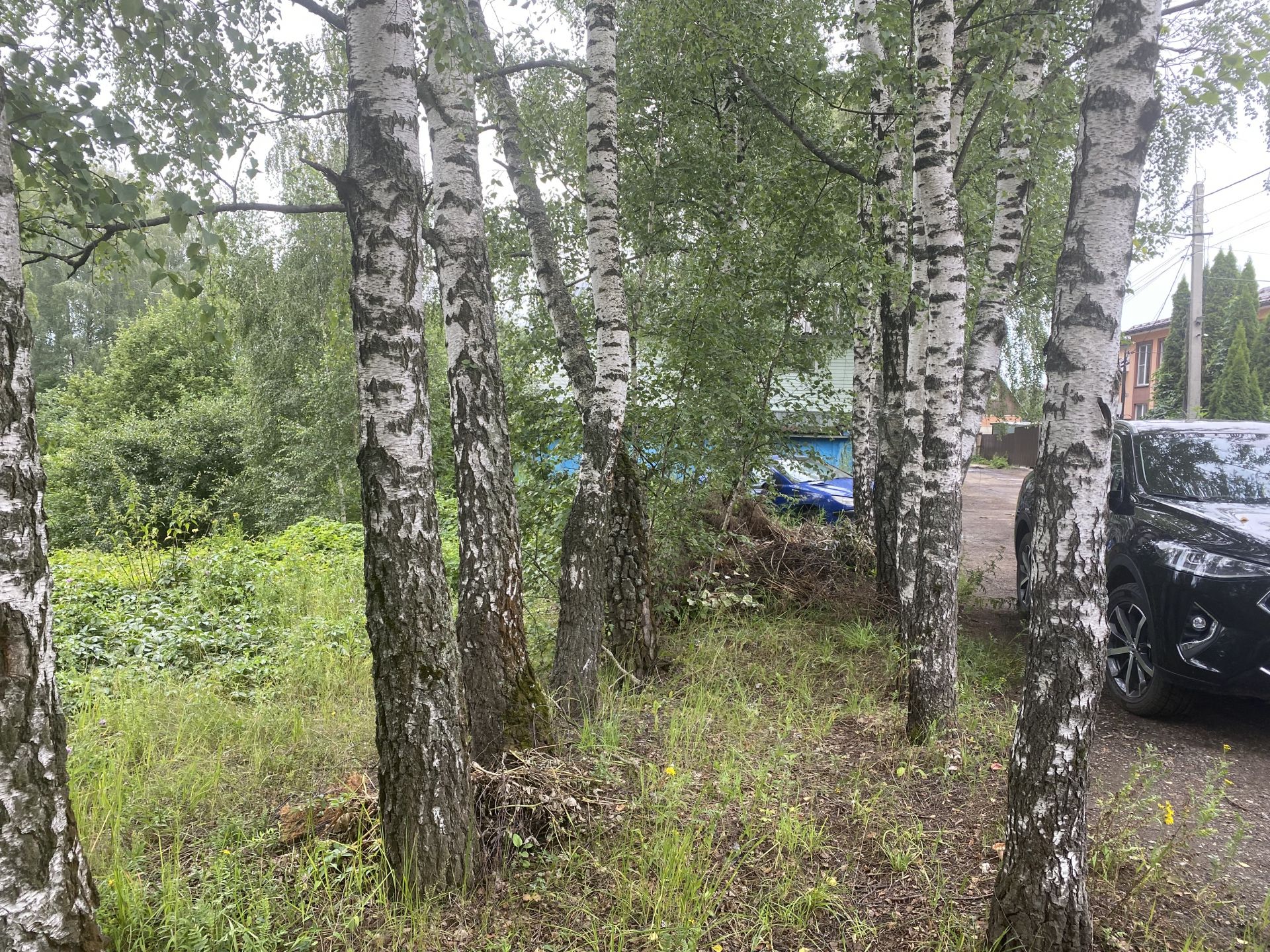 Земли сельхозназначения Московская область, Ленинский городской округ, ТЛПХ Вереск-А, Лучевая улица