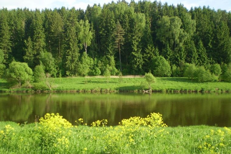 Купить Дом В Рыбушкино Города Звенигорода