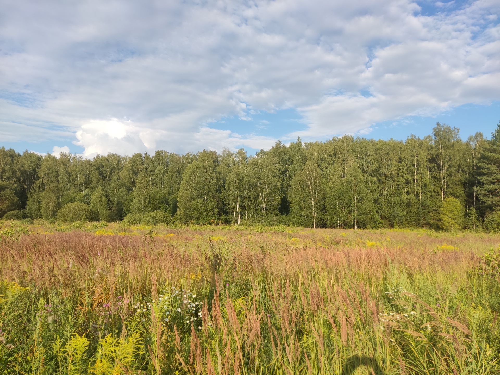 Земли сельхозназначения Московская область, городской округ Пушкинский,  коттеджный посёлок Вдохновение Пушкина – агентство недвижимости «Азбука  недвижимости» Москва и МО