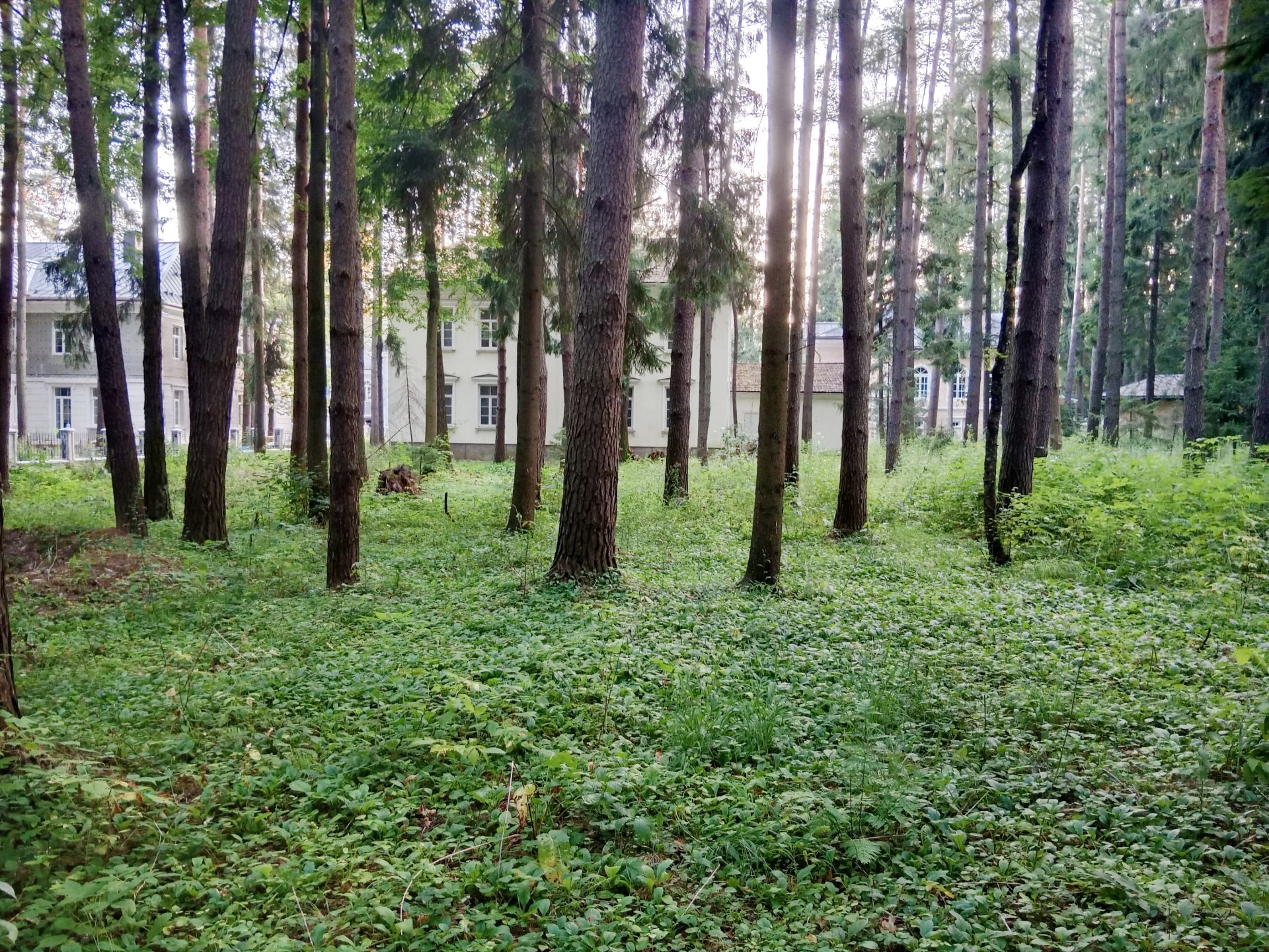 Коттедж Московская область, Одинцовский городской округ, деревня Новодарьино